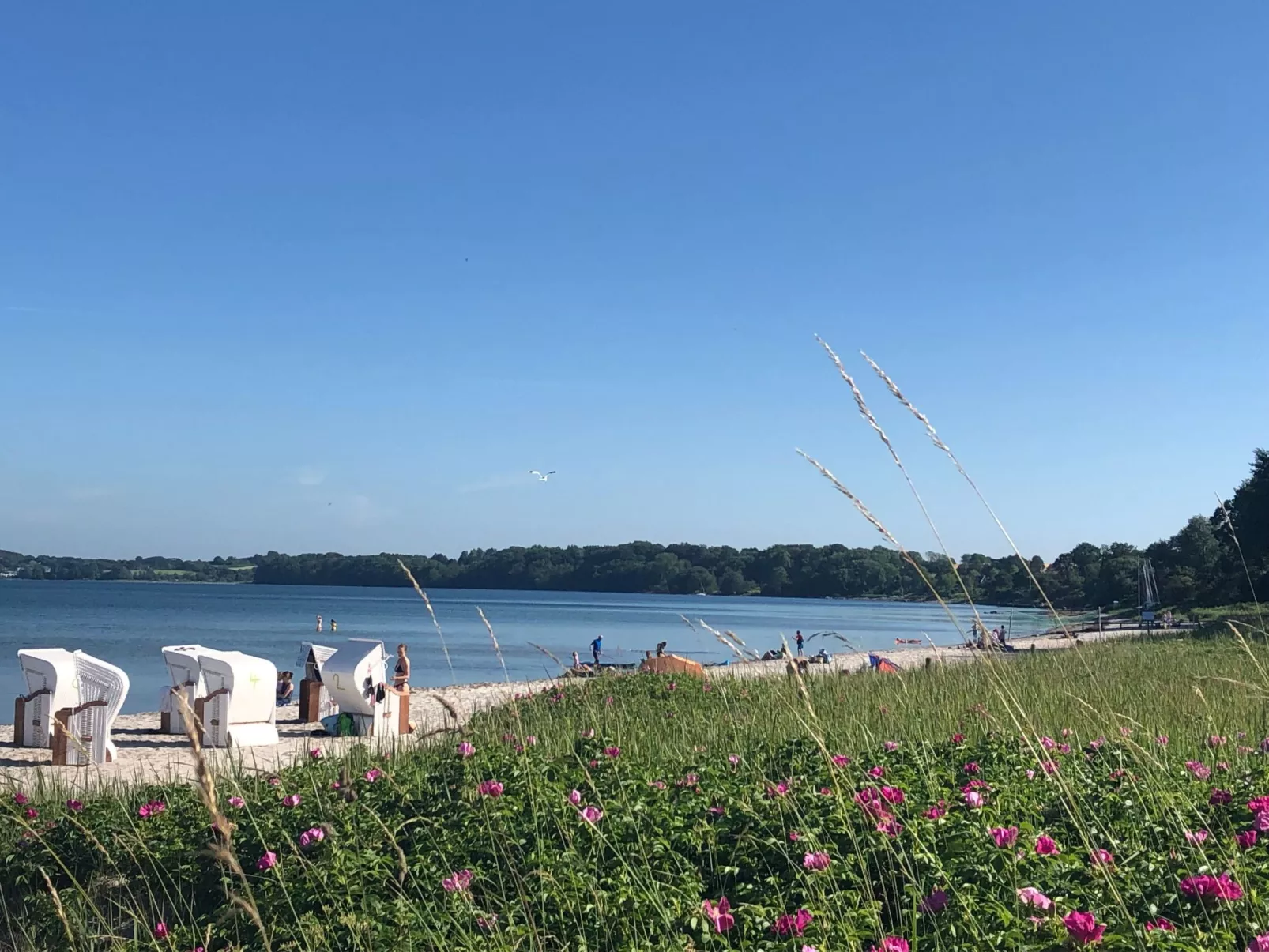 Ferienwohnung-Buiten