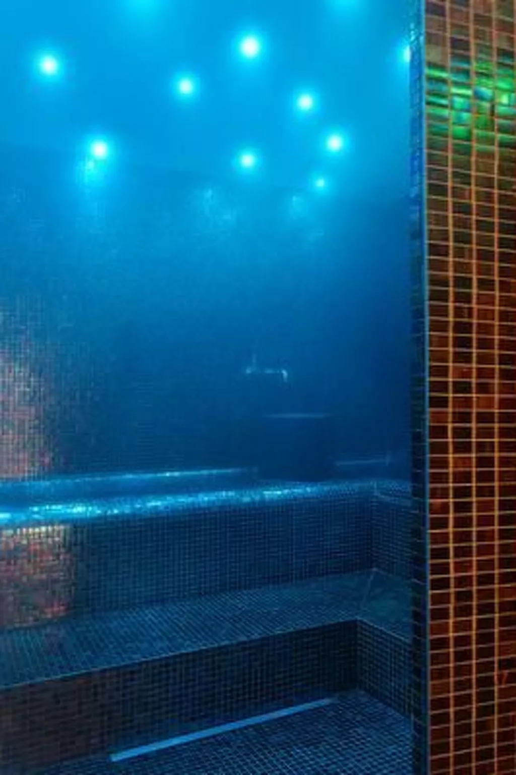 Chesa Plattner-Image-tags.info