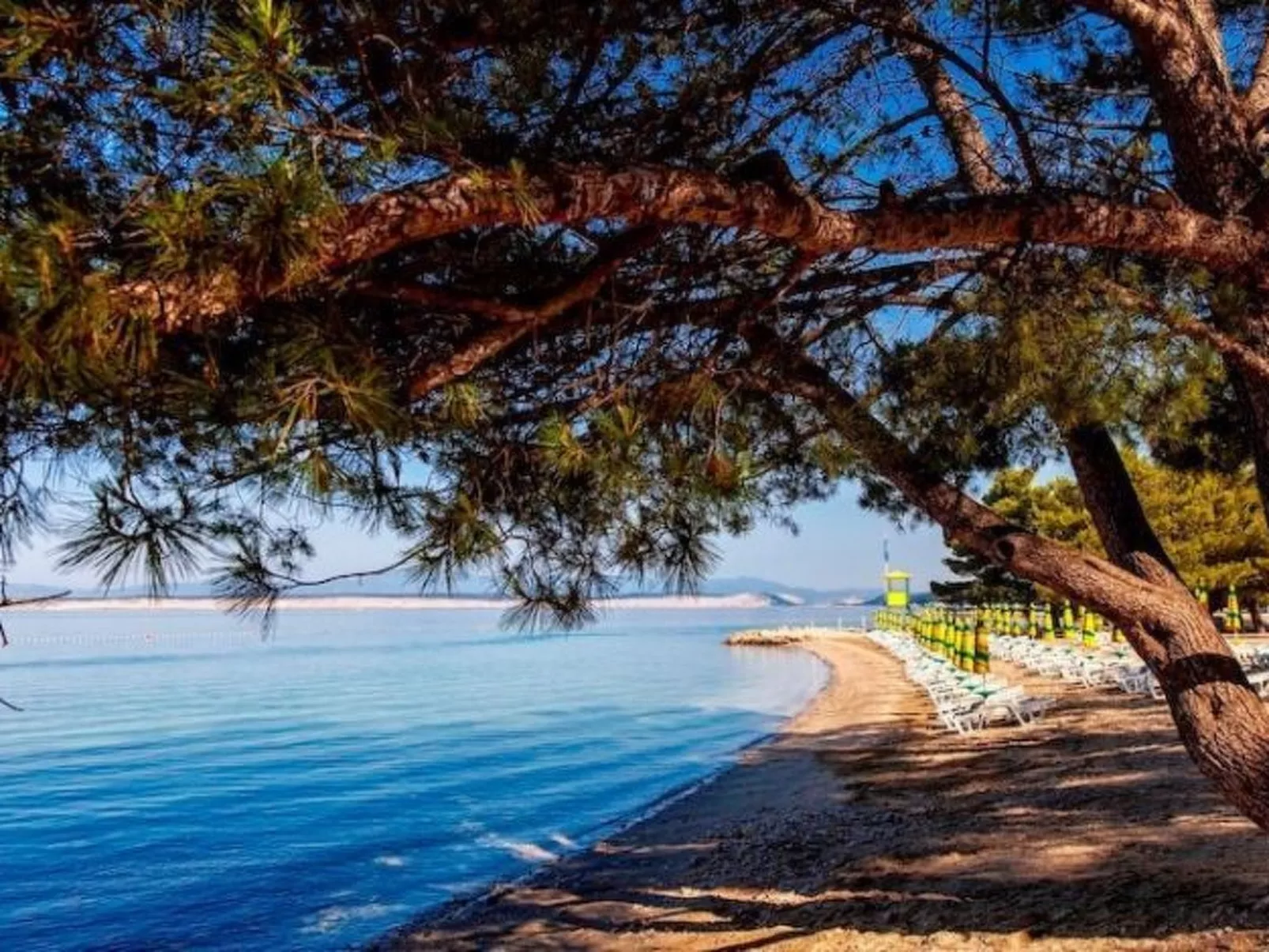 Wohnung 150m vom Sandstrand-Image-tags.info