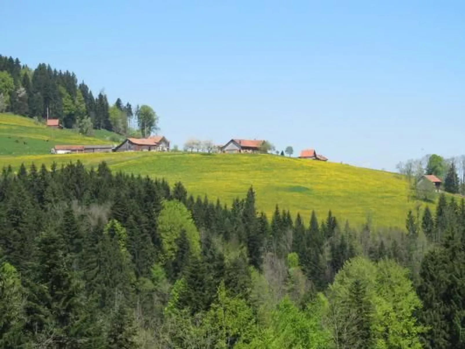 Gapf-Image-tags.info