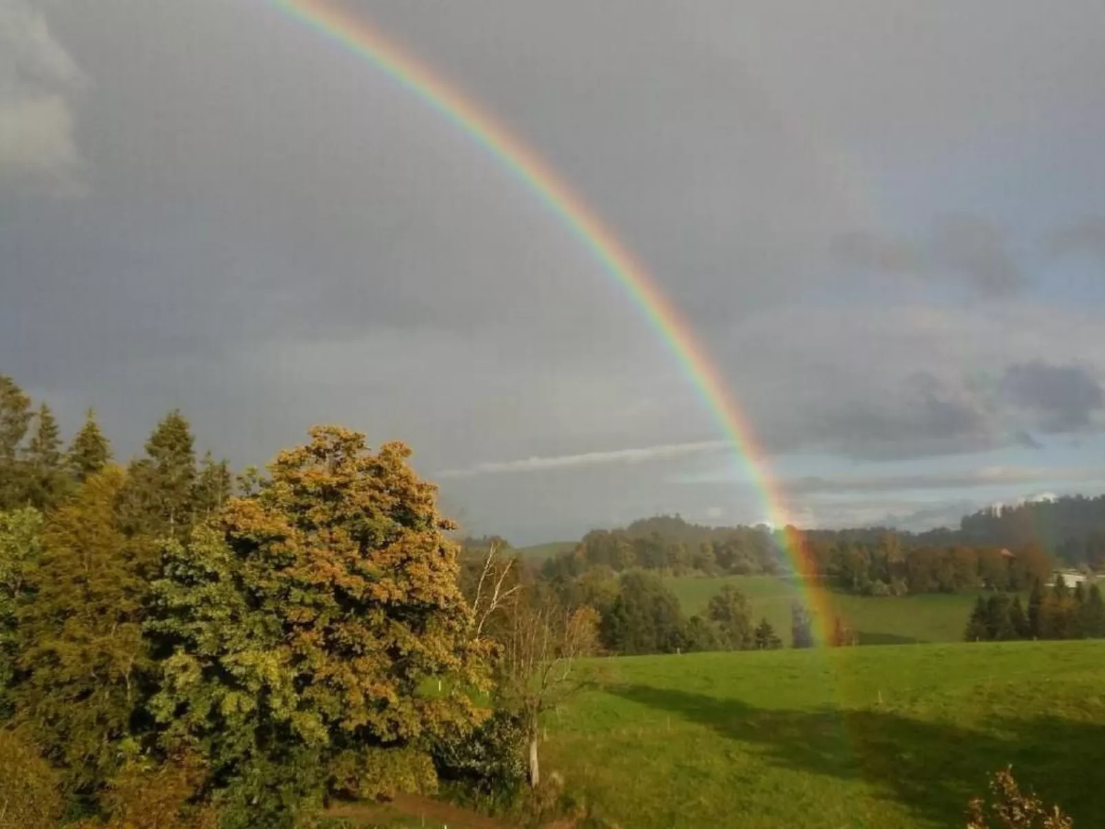 Steinern-Image-tags.info