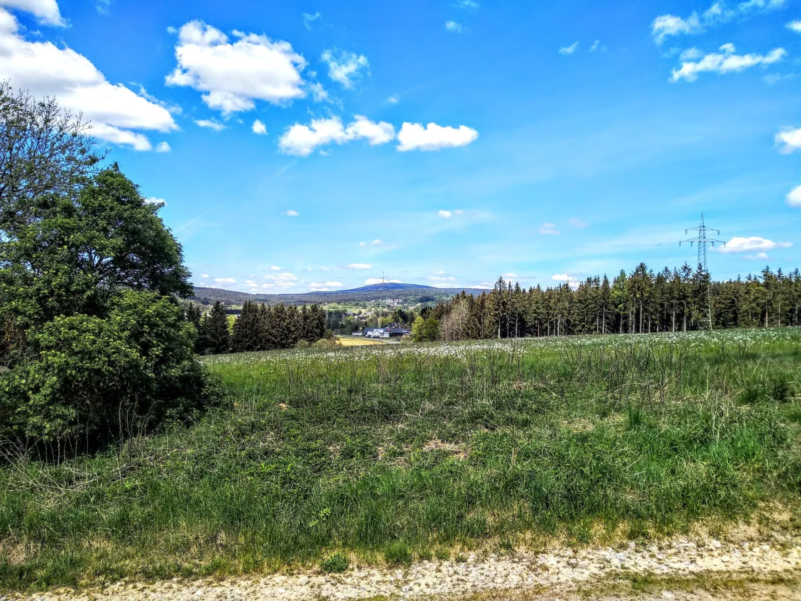 Fichtelzauber mit Sauna-Buiten