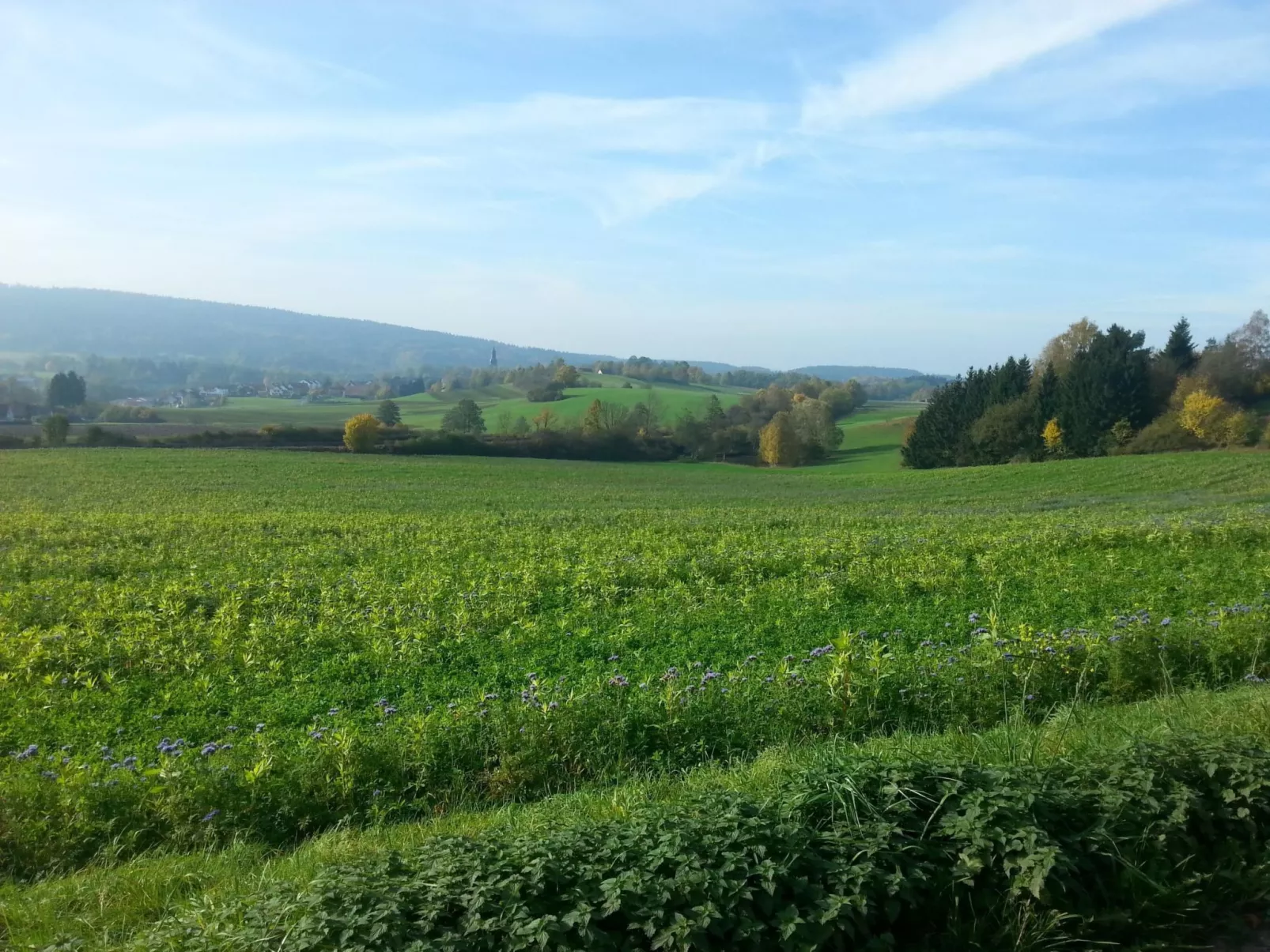 Mit einer umwerfenden Panoramaaussicht-Image-tags.info