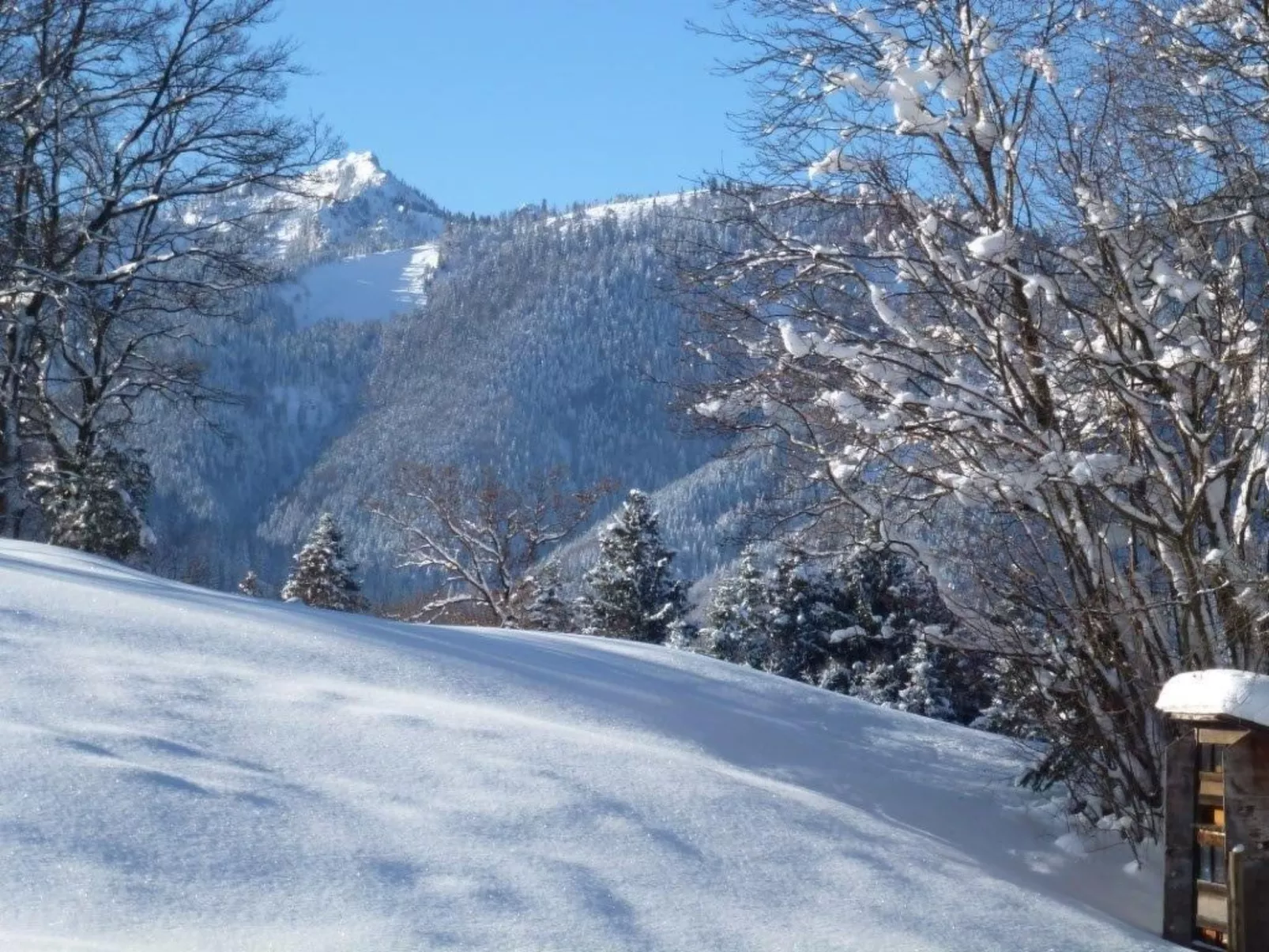 Gemütliche Ferienwohnung in Unterammergau-Buiten