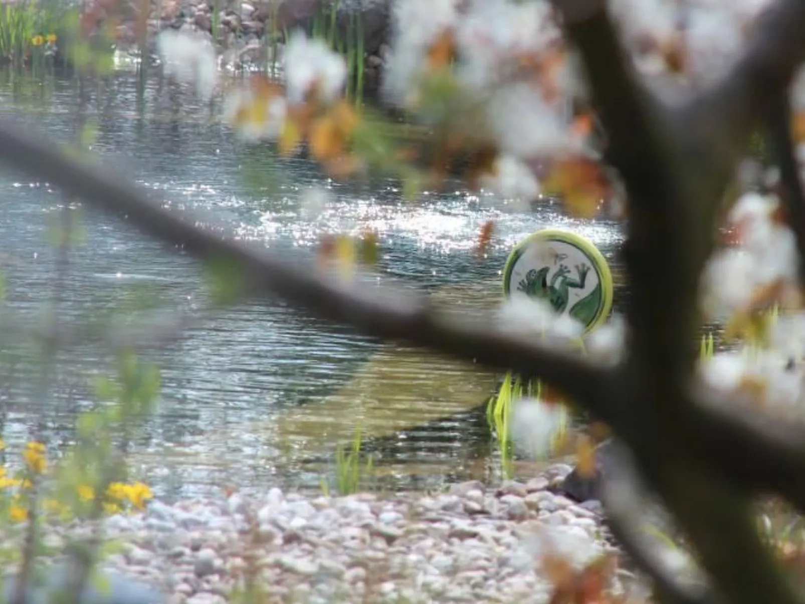 Appartement mit Terrasse-Buiten