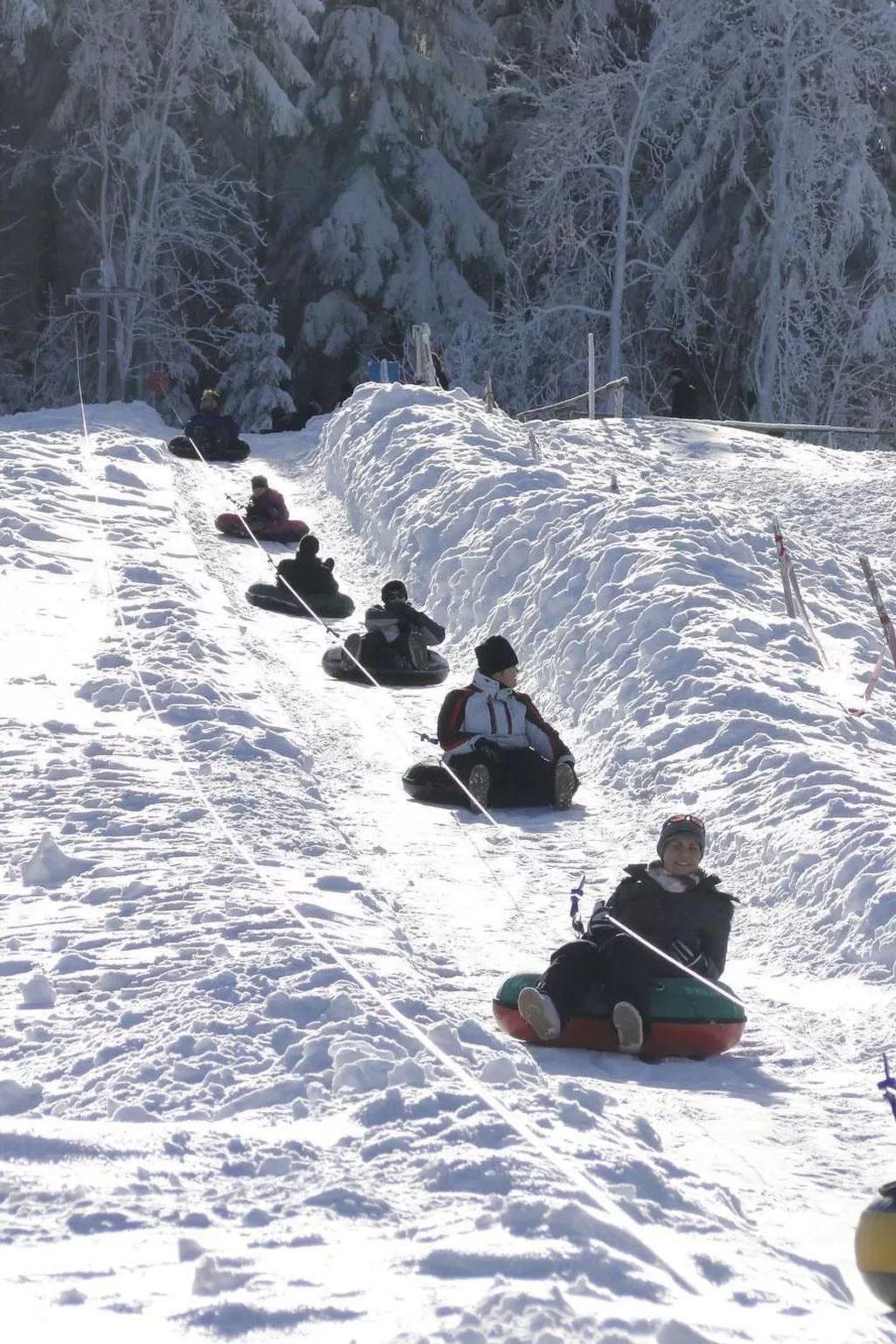 Wiesengrund-Image-tags.info