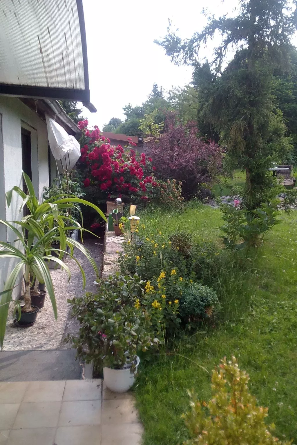 Gemütliches Ferienhaus in Fischbach Rhön-Image-tags.info