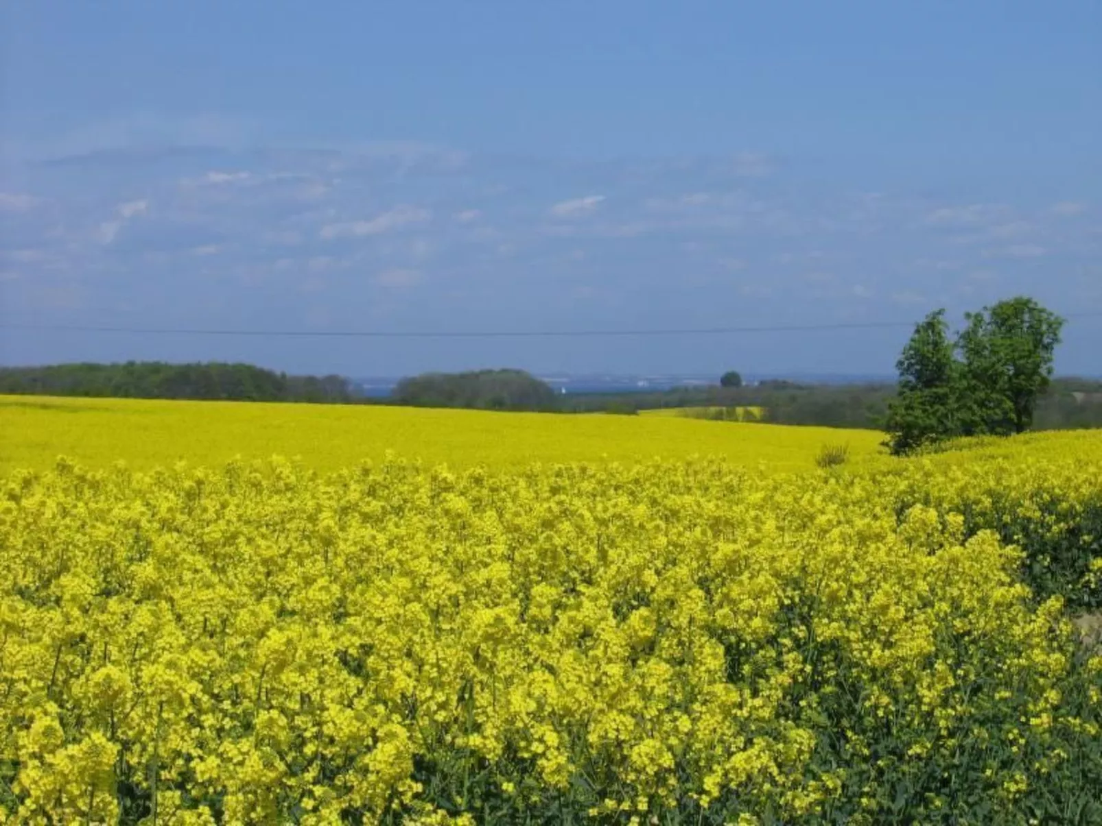 Lovely Place-Image-tags.info