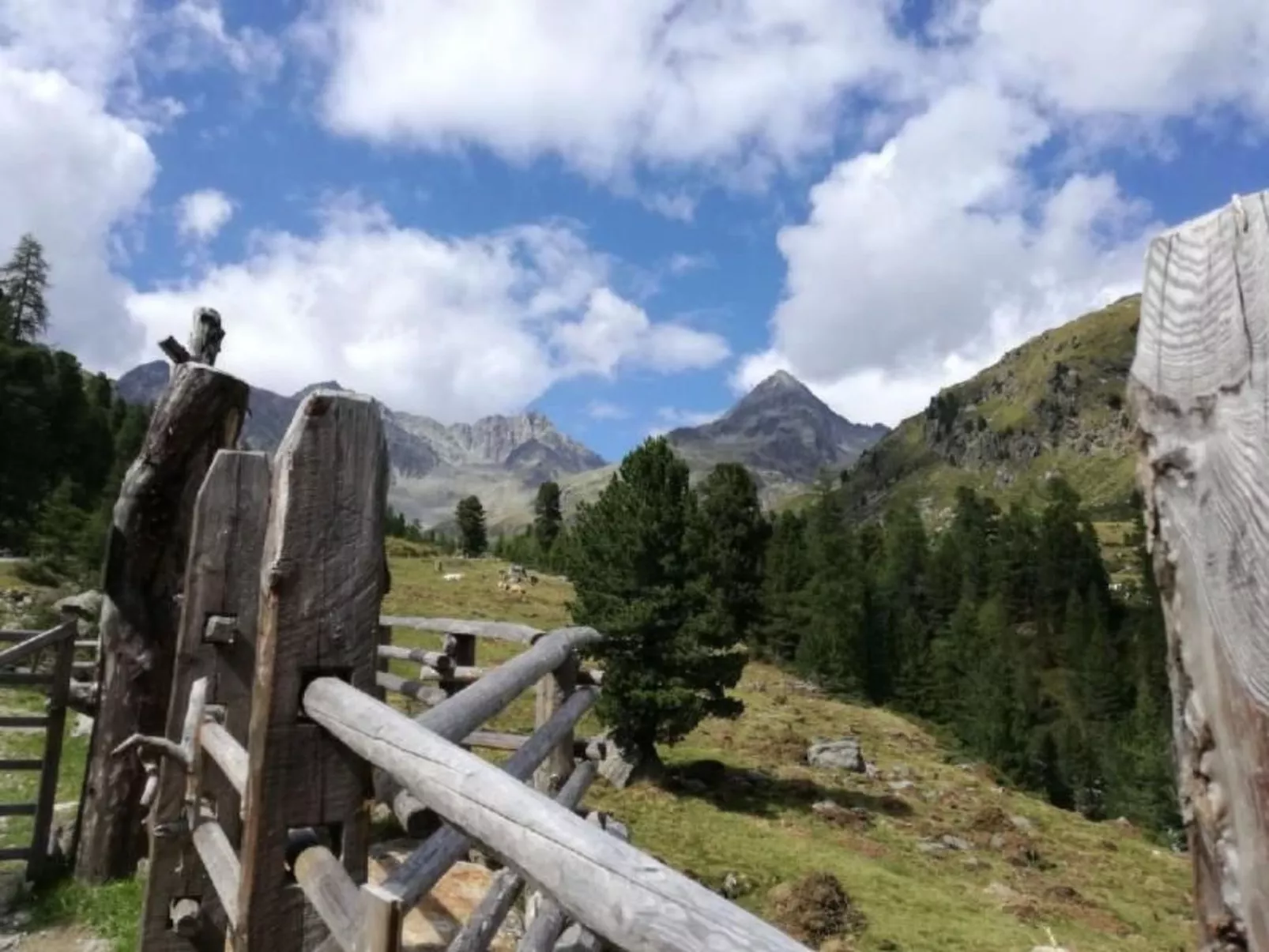 Charmantes Ferienhaus mit Whirlpool-Buiten