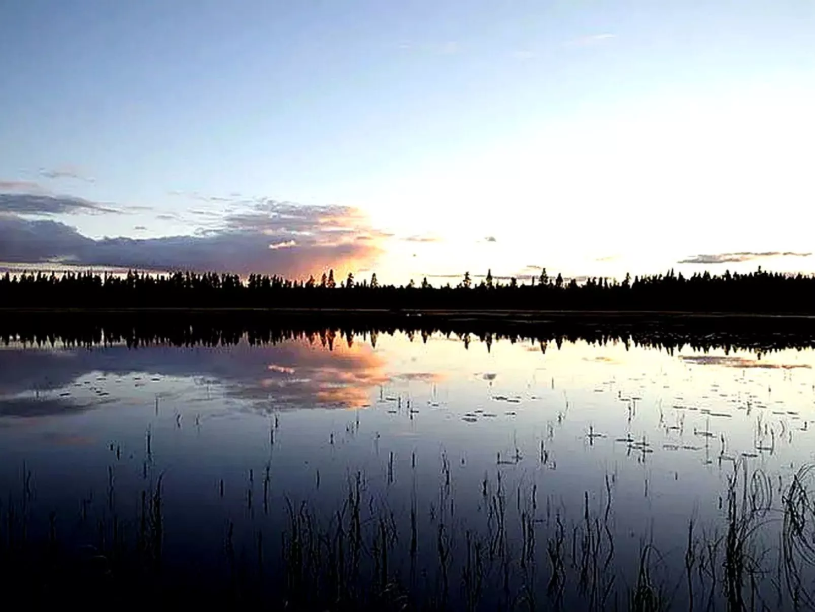 Am Wald mit Kaminofen und Veranda-Buiten