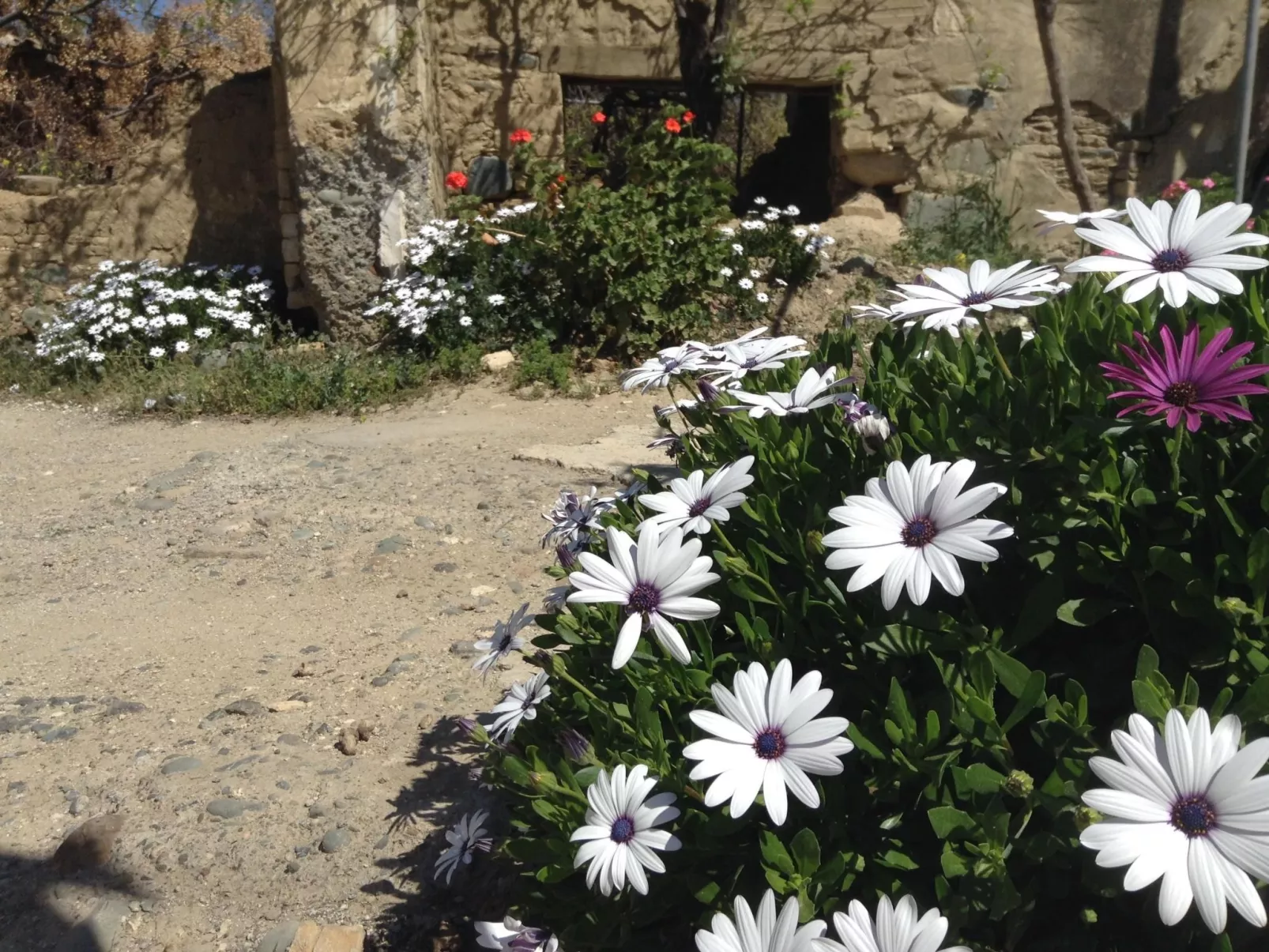 Gästehaus Gonia-Buiten