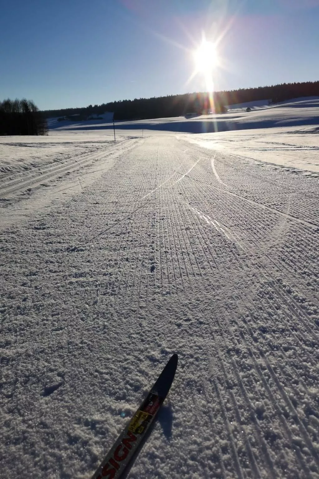 Wohnung in altem, renoviertem Bauernhaus-Buiten