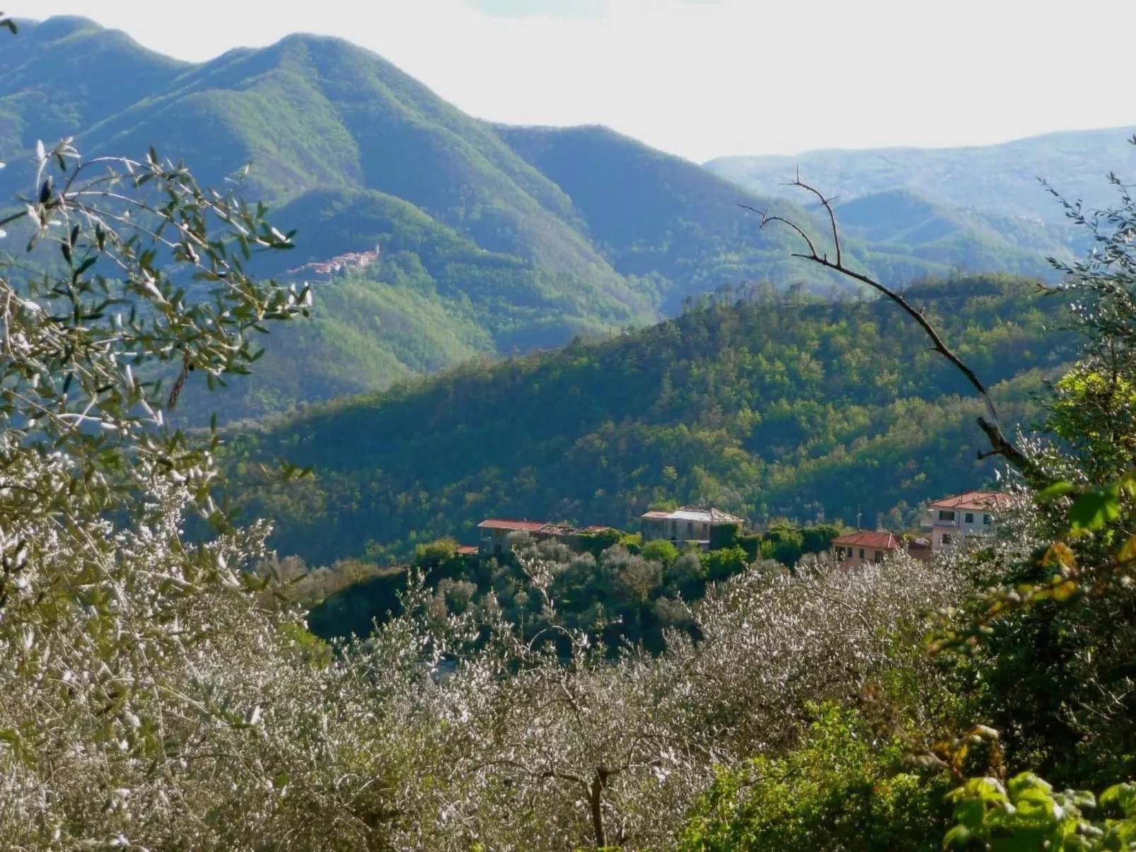 CASA SISSI, Sehnsuchtsort zwischen Olivenhainen-Buiten
