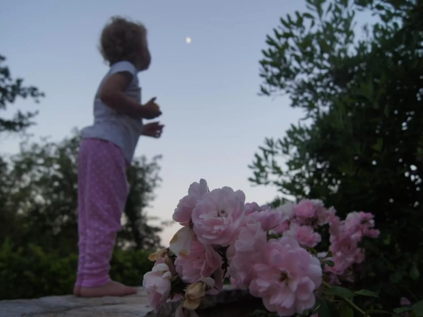 In Karigador mit Terrasse, Whirlpool und Garten-Buiten