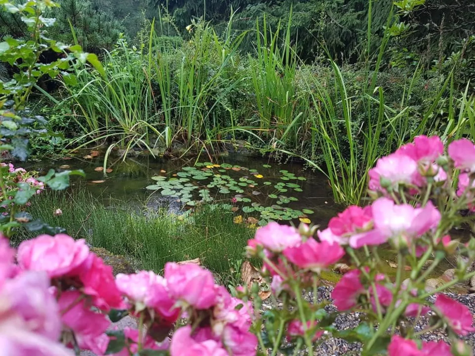 Ferienvilla mit eigener Sauna-Image-tags.info