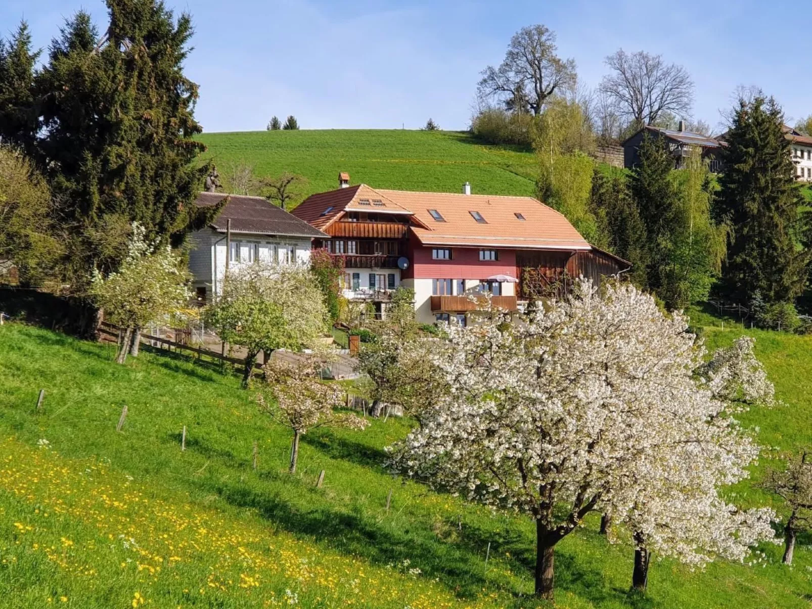 In einem heimeligen Berner-Stöckli-Buiten