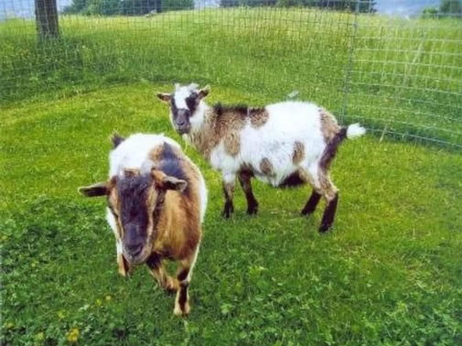 Bauernhof ufem Berg-Buiten