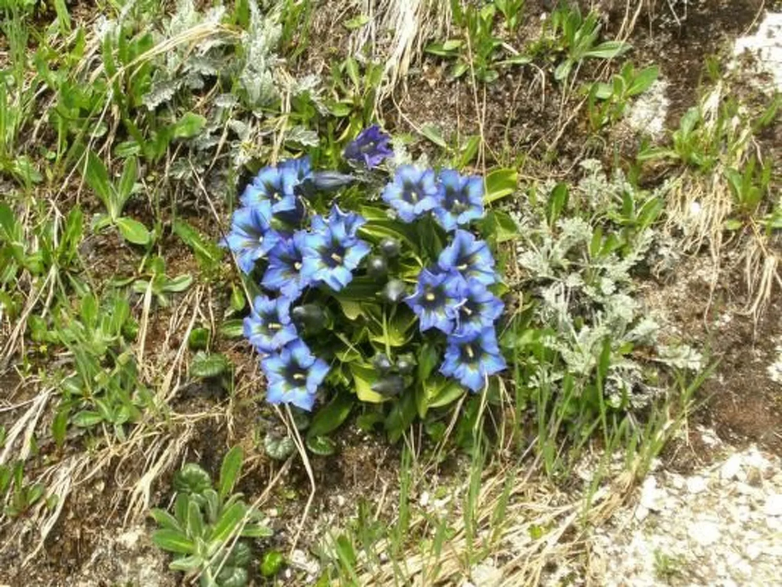 Ferien im grünen rechts-Image-tags.info