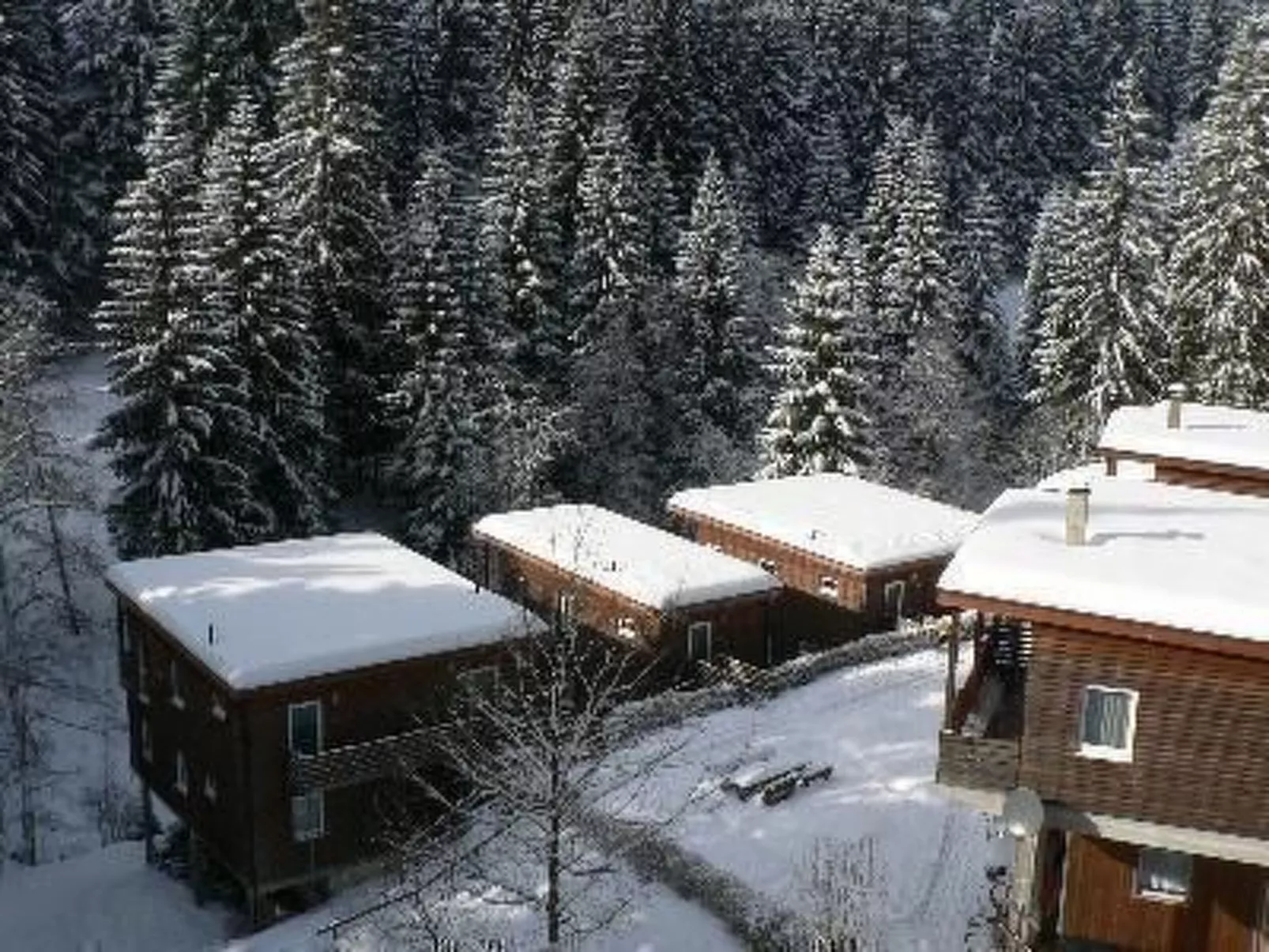 Für 9 Personen im Thüringer Wald-Image-tags.info