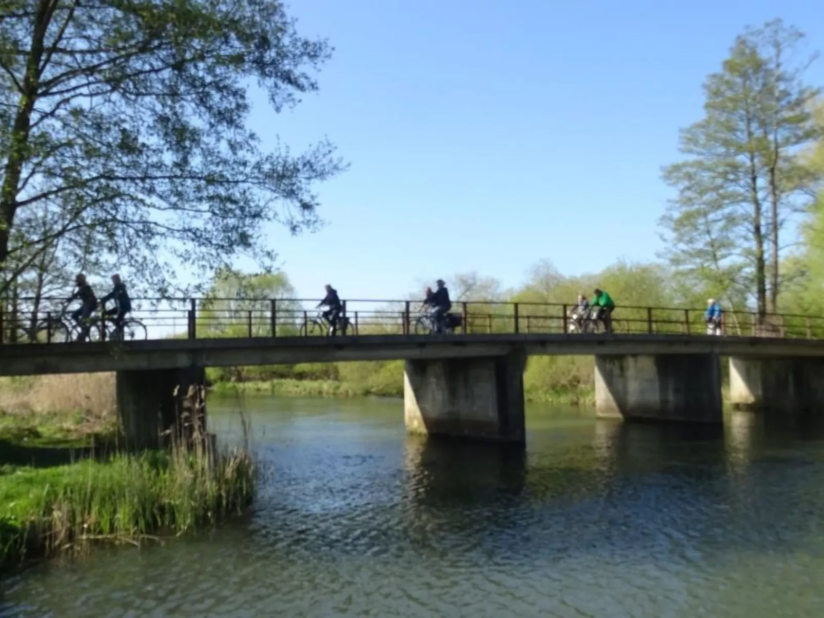 Paradies-Image-tags.info