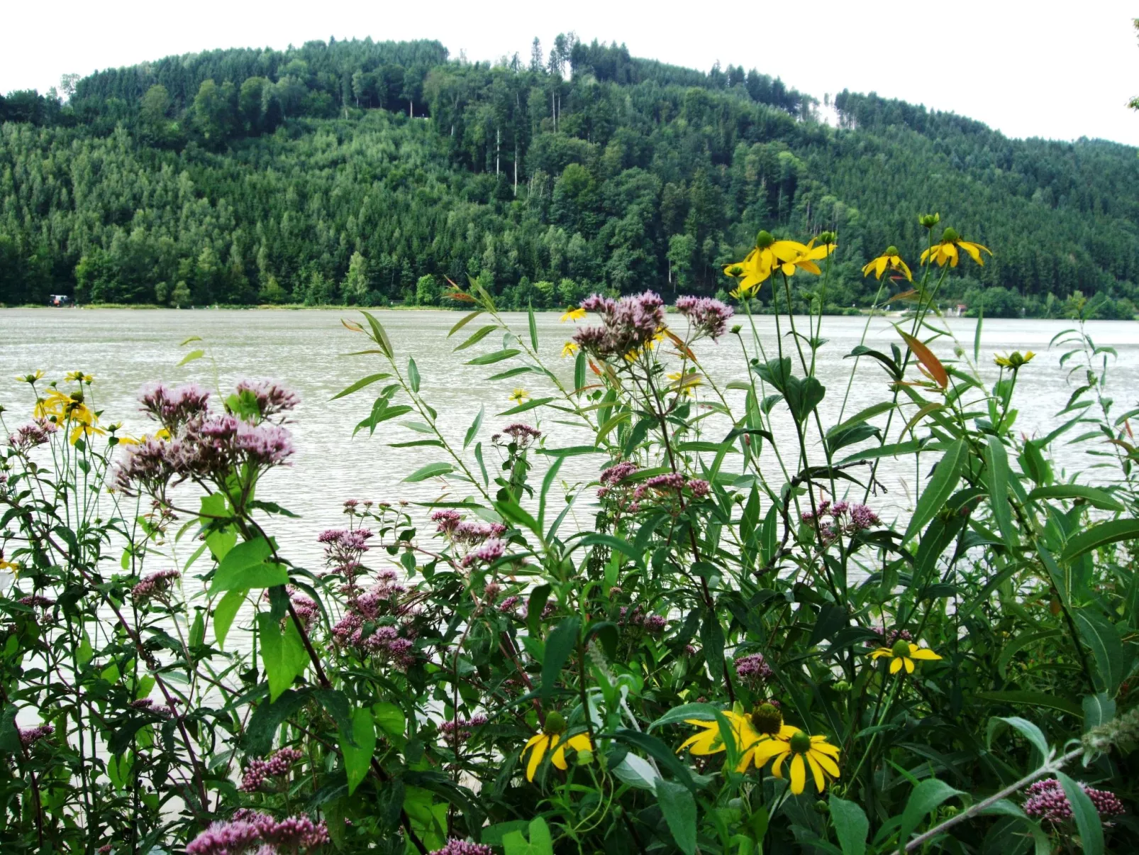 Örtl in Obernzell-Buiten
