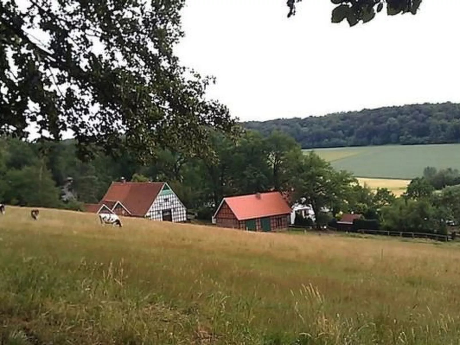 Schönes Ferienhaus in Brochterbeck mit Garten-Image-tags.info