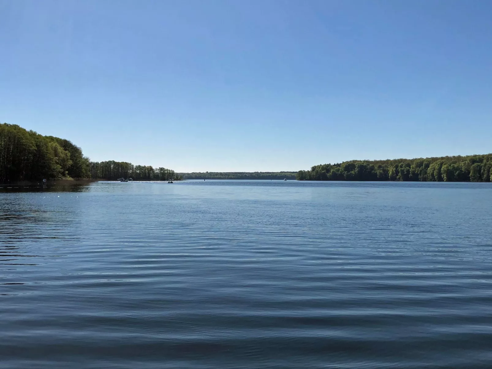 Mit Hund-Image-tags.info