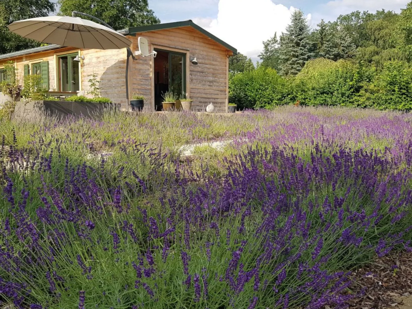 In Atzenhain mit Großer Terrasse-Buiten