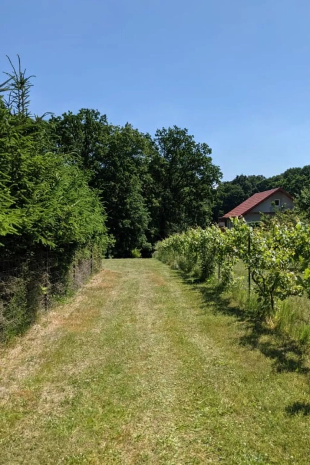 "Ferienhaus GolczaVita"-Image-tags.info