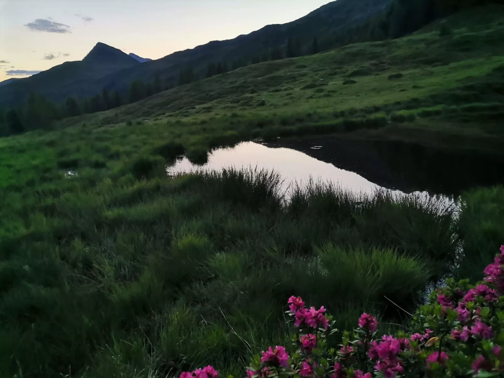 Waldpension Ranner-Buiten