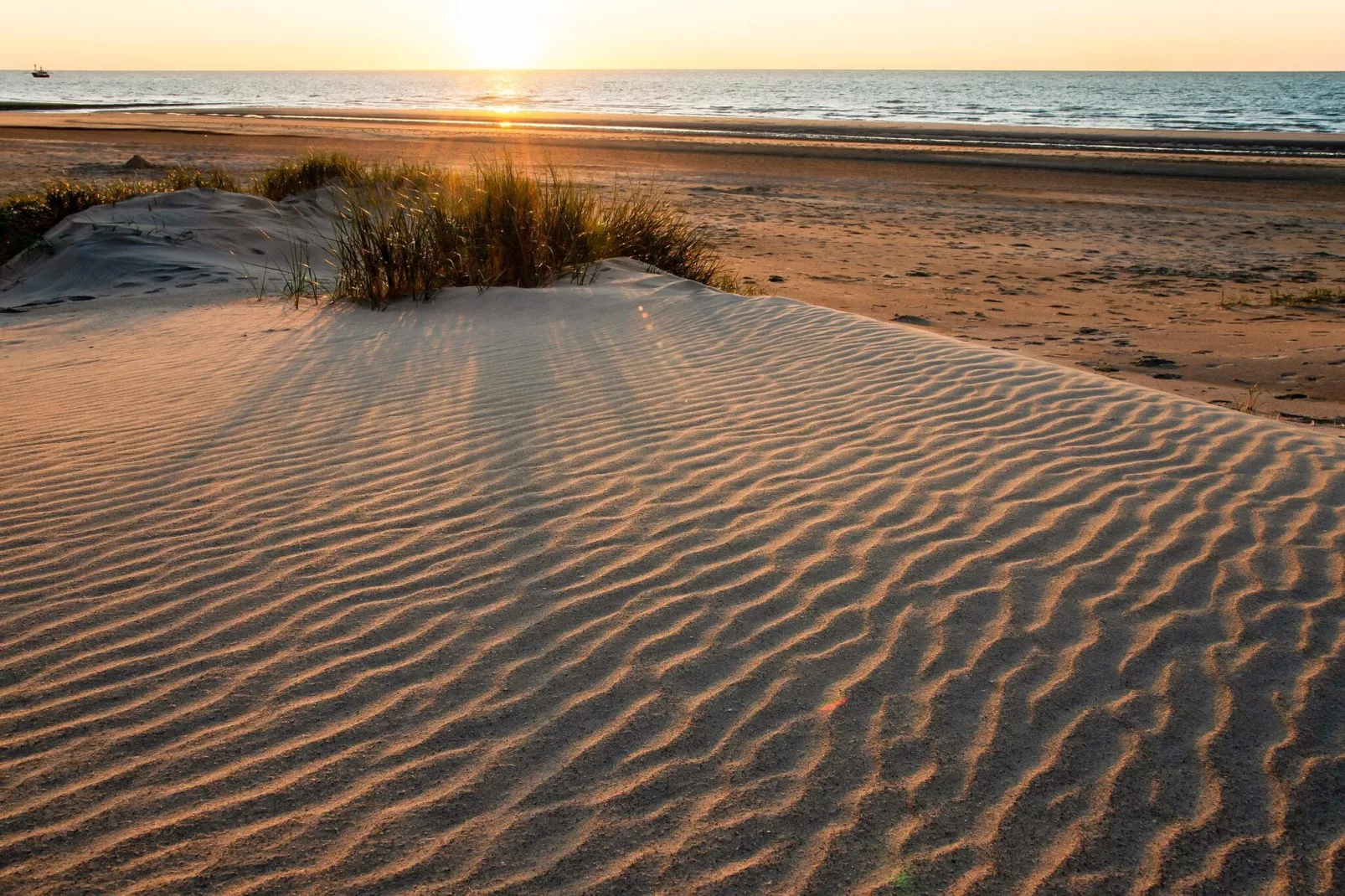 Pearl Beach 0504-Gebieden zomer 5km