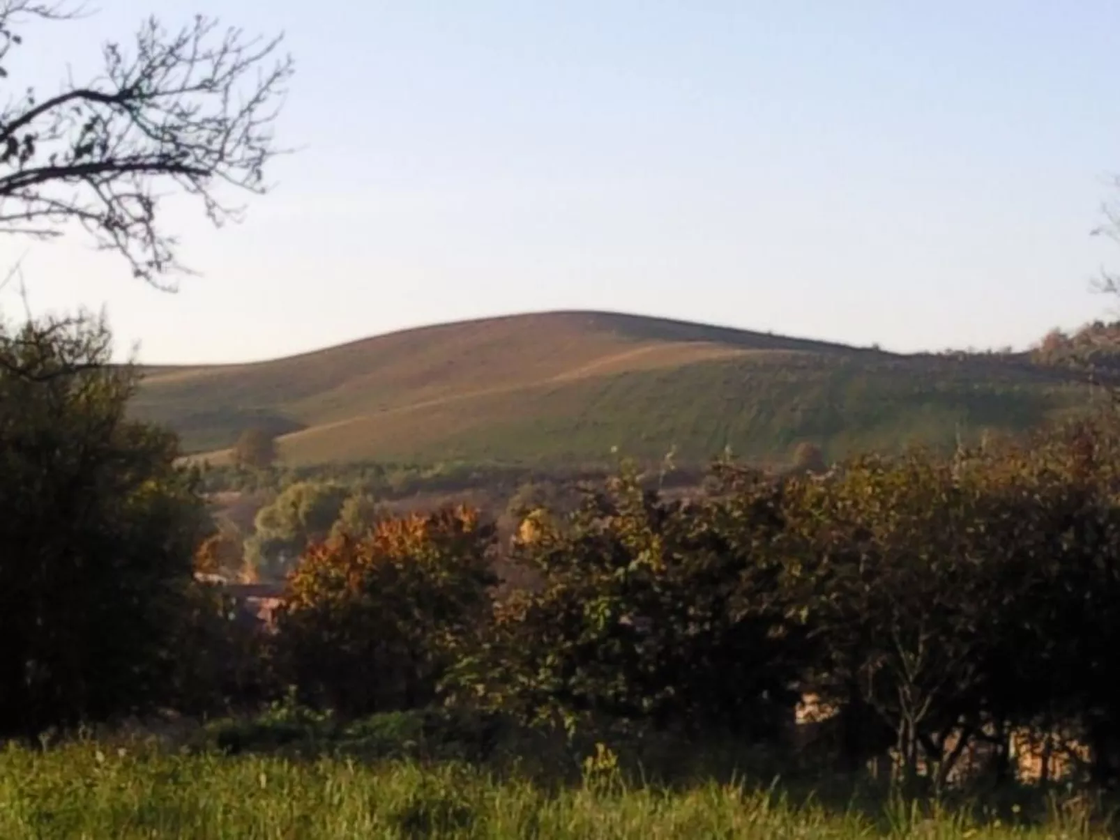 Mit biologischem Schwimmteich-Image-tags.info