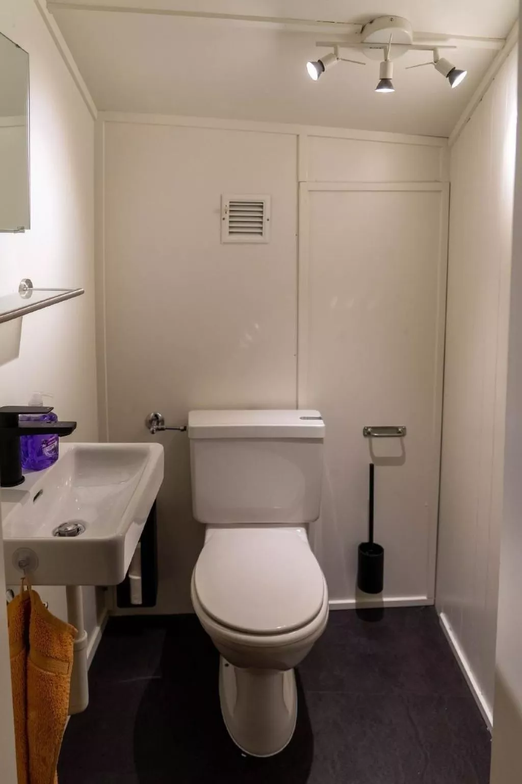 Maiensäss 5.5 Zi. freistehend und romantisch-Binnen