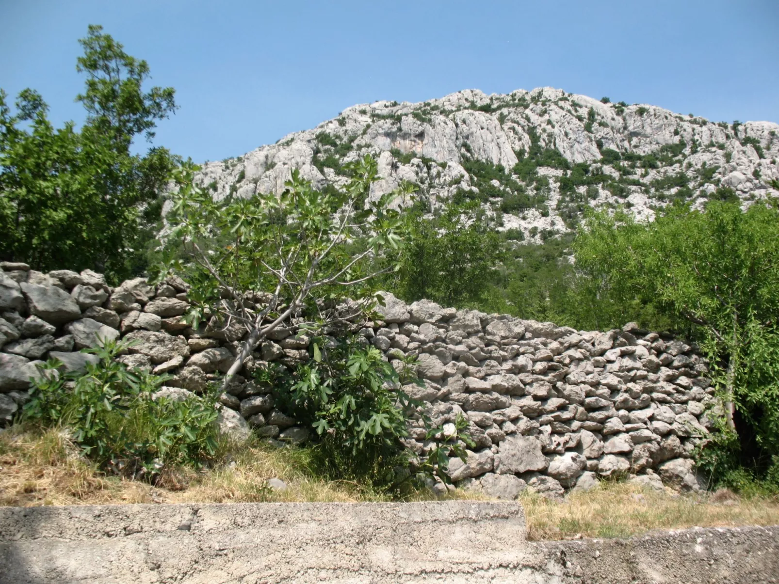 Für 6 Personen ca. 50 m&sup2; in Jablanac, Adriaküste Kroatien (Kvarner Bucht)-Image-tags.info