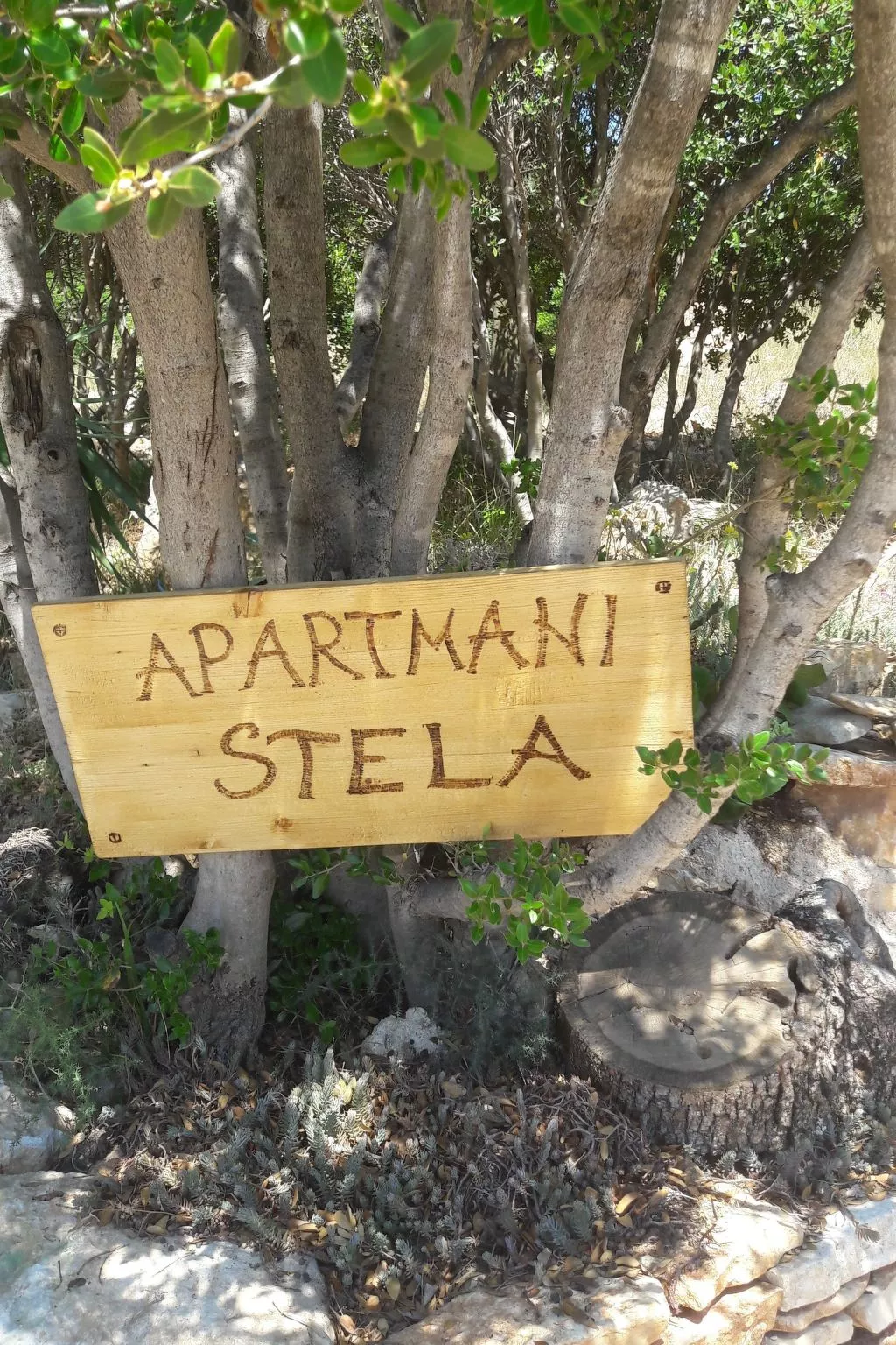 Neu erbautes Apartment mit großem Balkon-Buiten