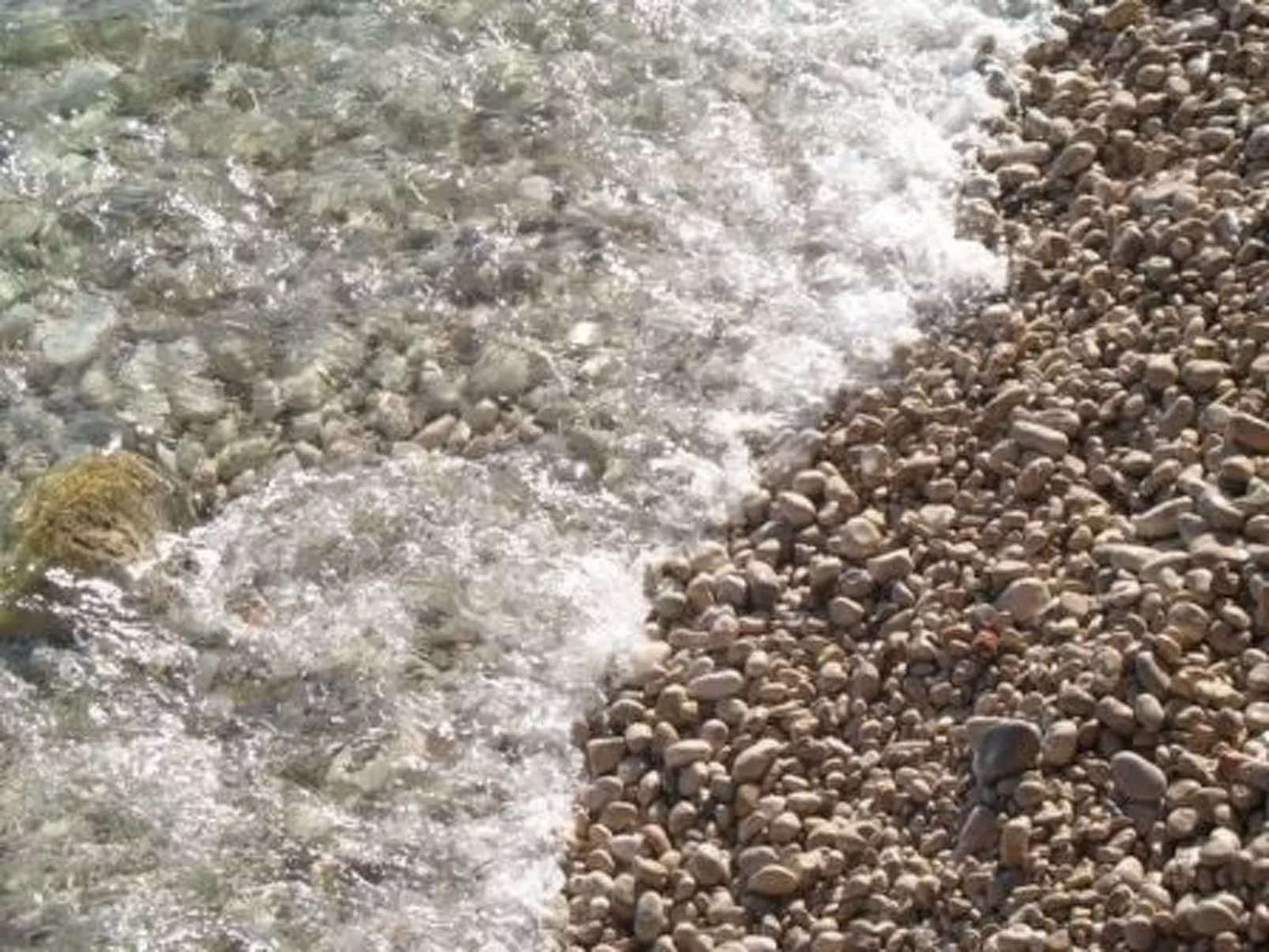 Wohnung in Zavala mit schönem Garten-Buiten