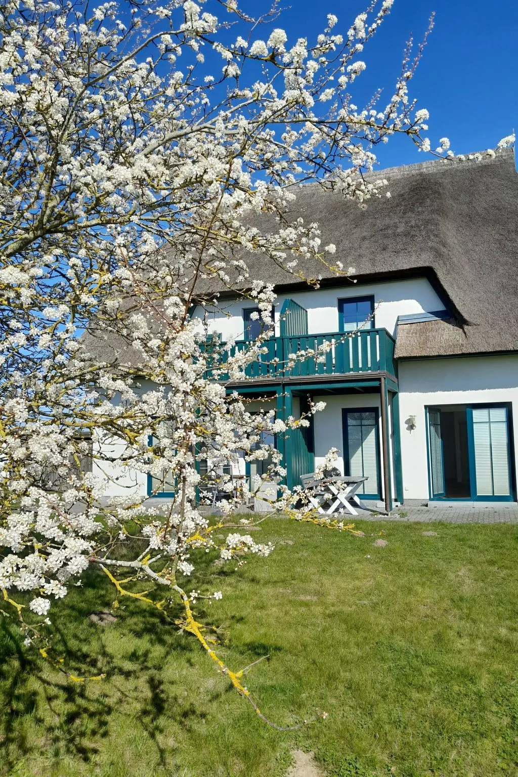 Seeschwalbe-Image-tags.info