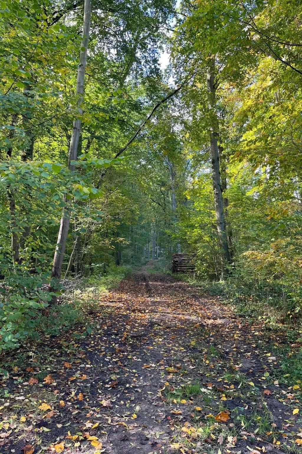 Landurlaub Mecklenburgische Seenplatte b. Waren Müritz-Buiten