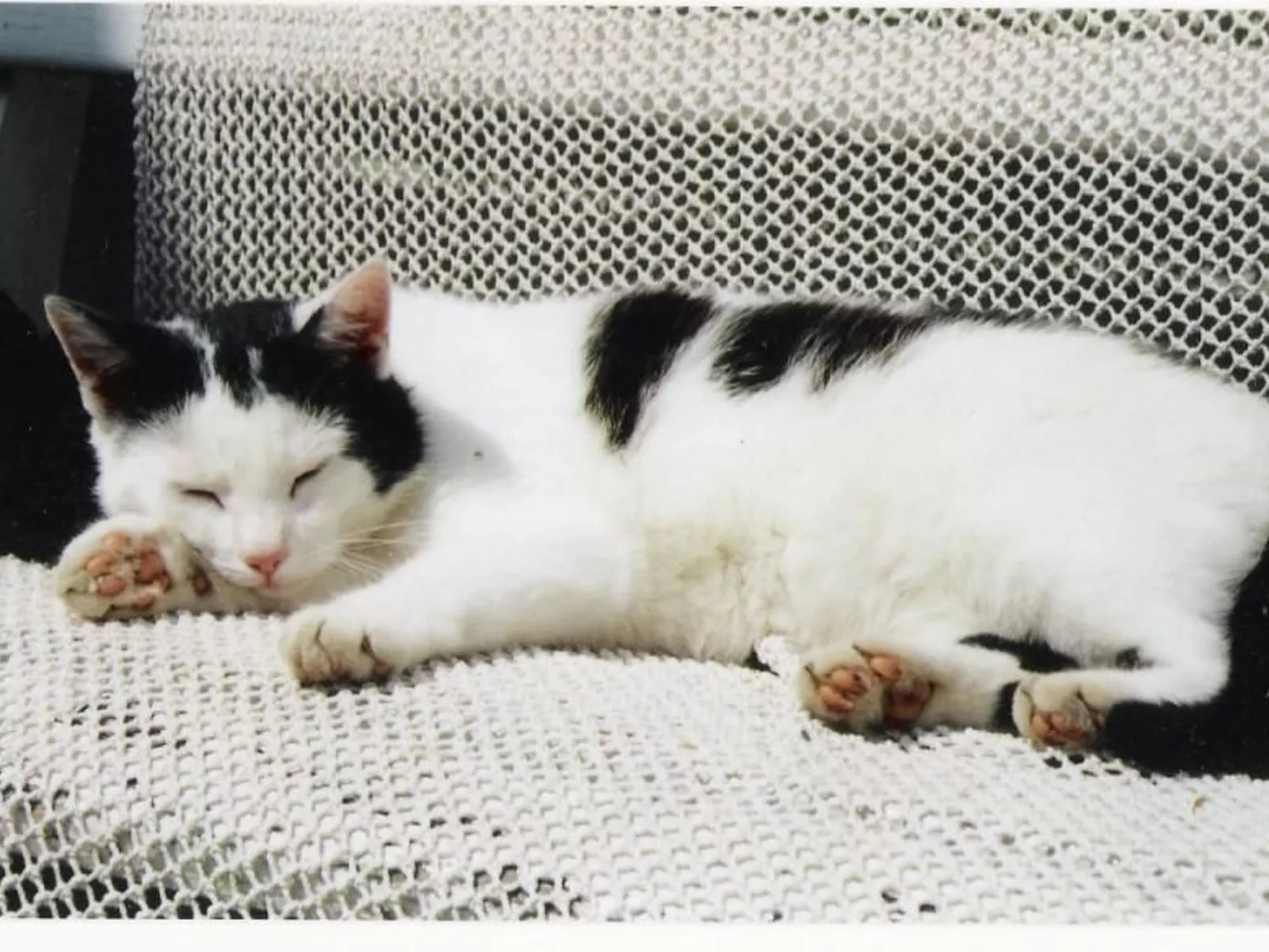 Fewo "Bootsscheune"-Image-tags.info