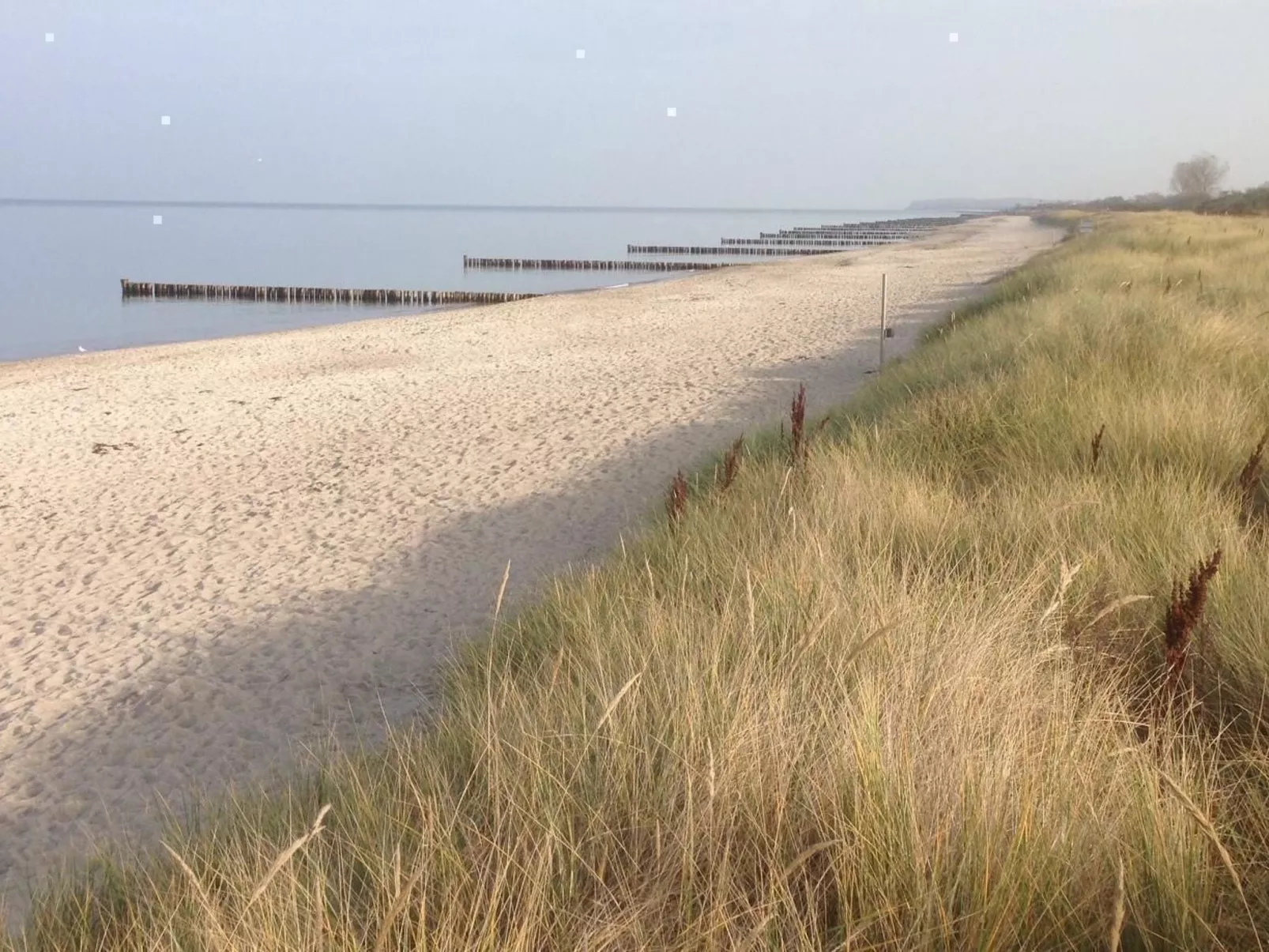 In Strandnähe-Buiten