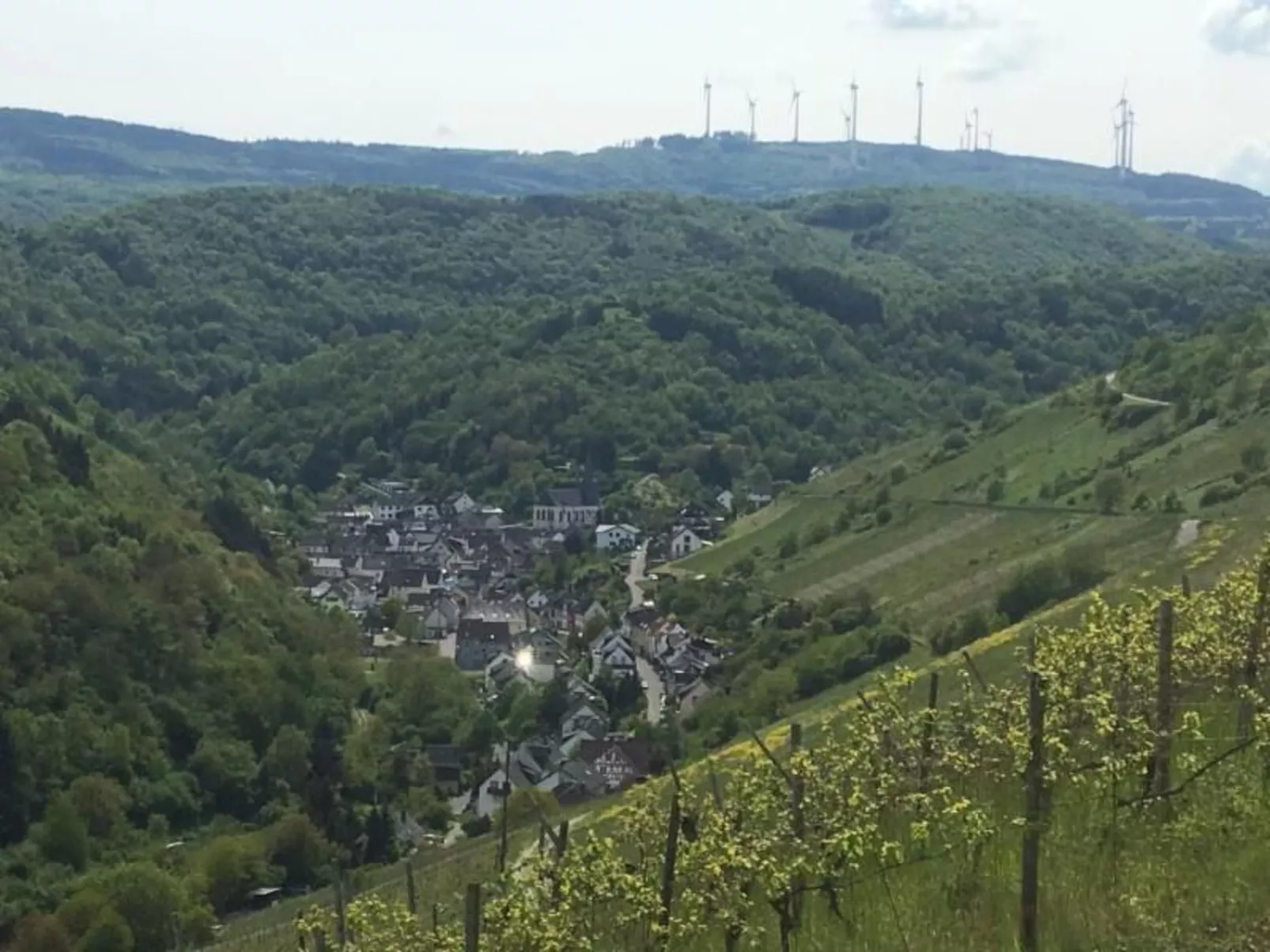 Schäfers Ferienwohnung Oberdiebach am Mittelrhein-Buiten