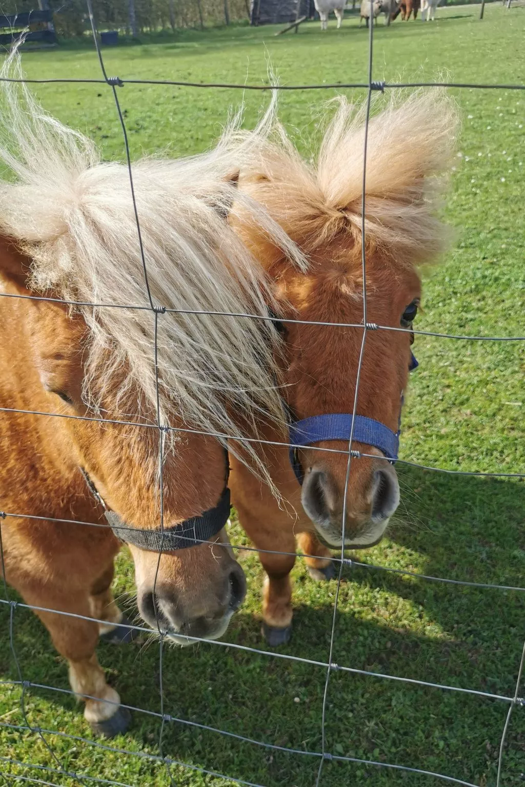 Herzfennerhof Loft-Buiten