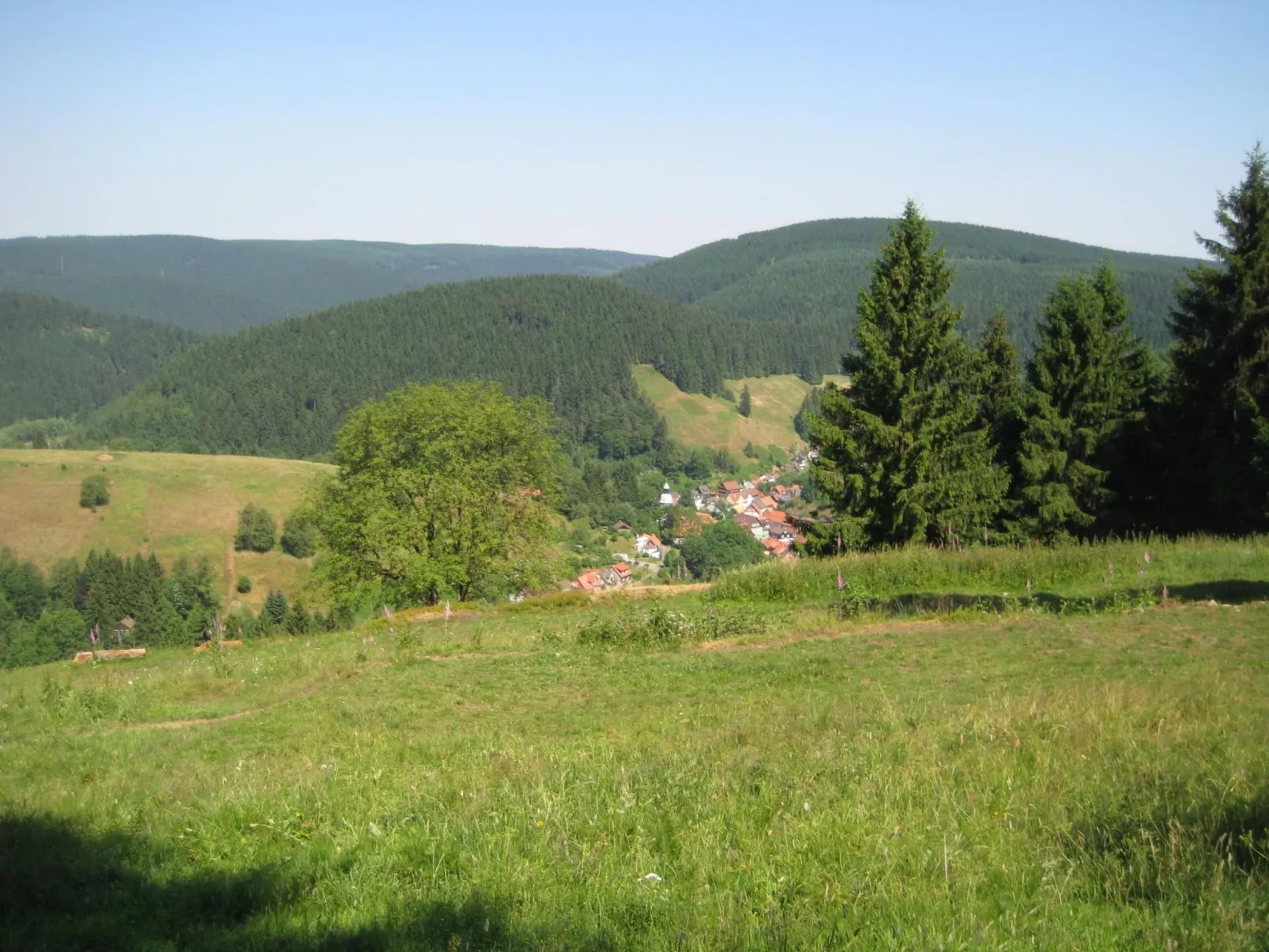 Einzigartiges Ferienhaus in Wildemann-Buiten
