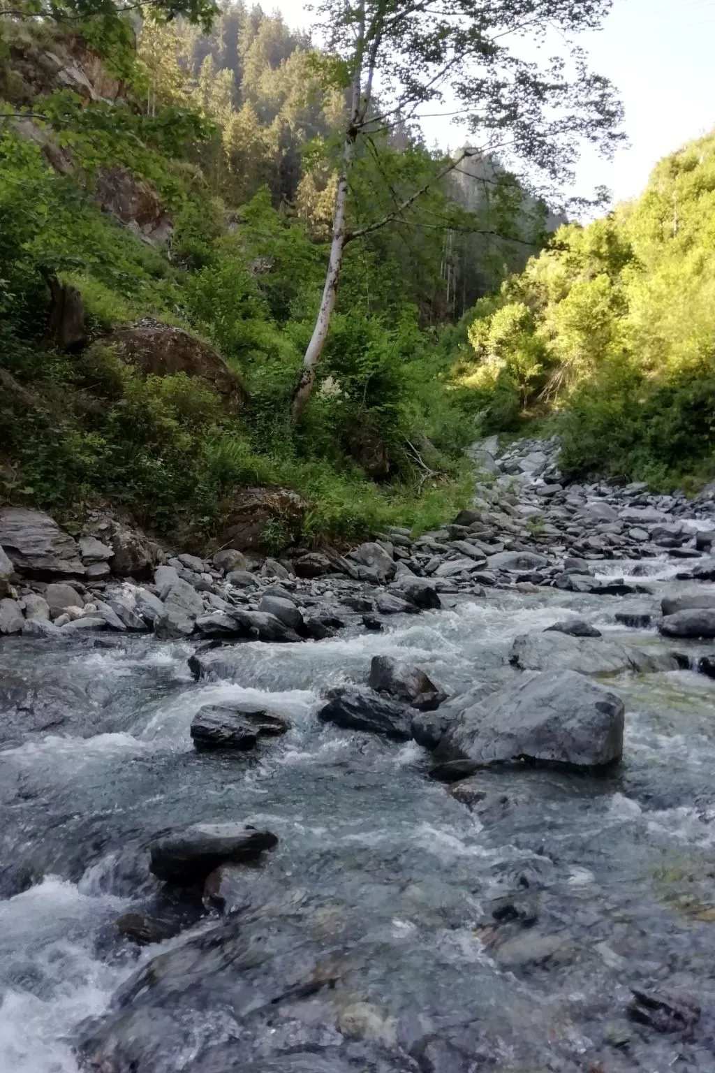 Das Zwölferl-Buiten