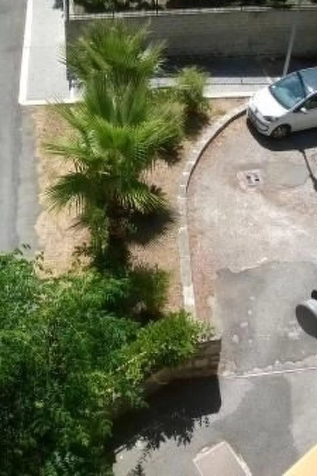 Penthouse mit großer Terrasse-Image-tags.info