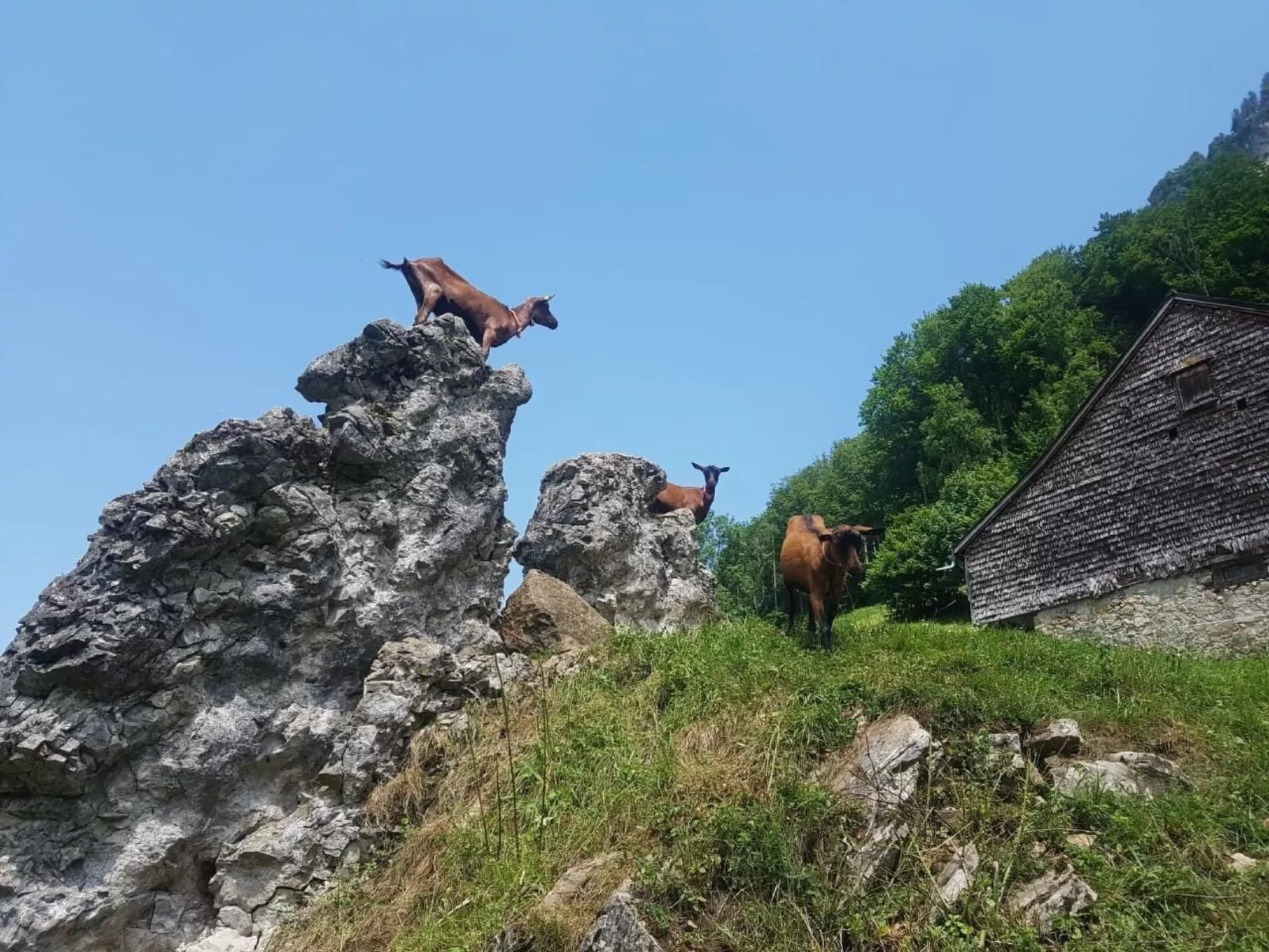 Ferien im Gugger - Wohnung Churfirsten-Buiten