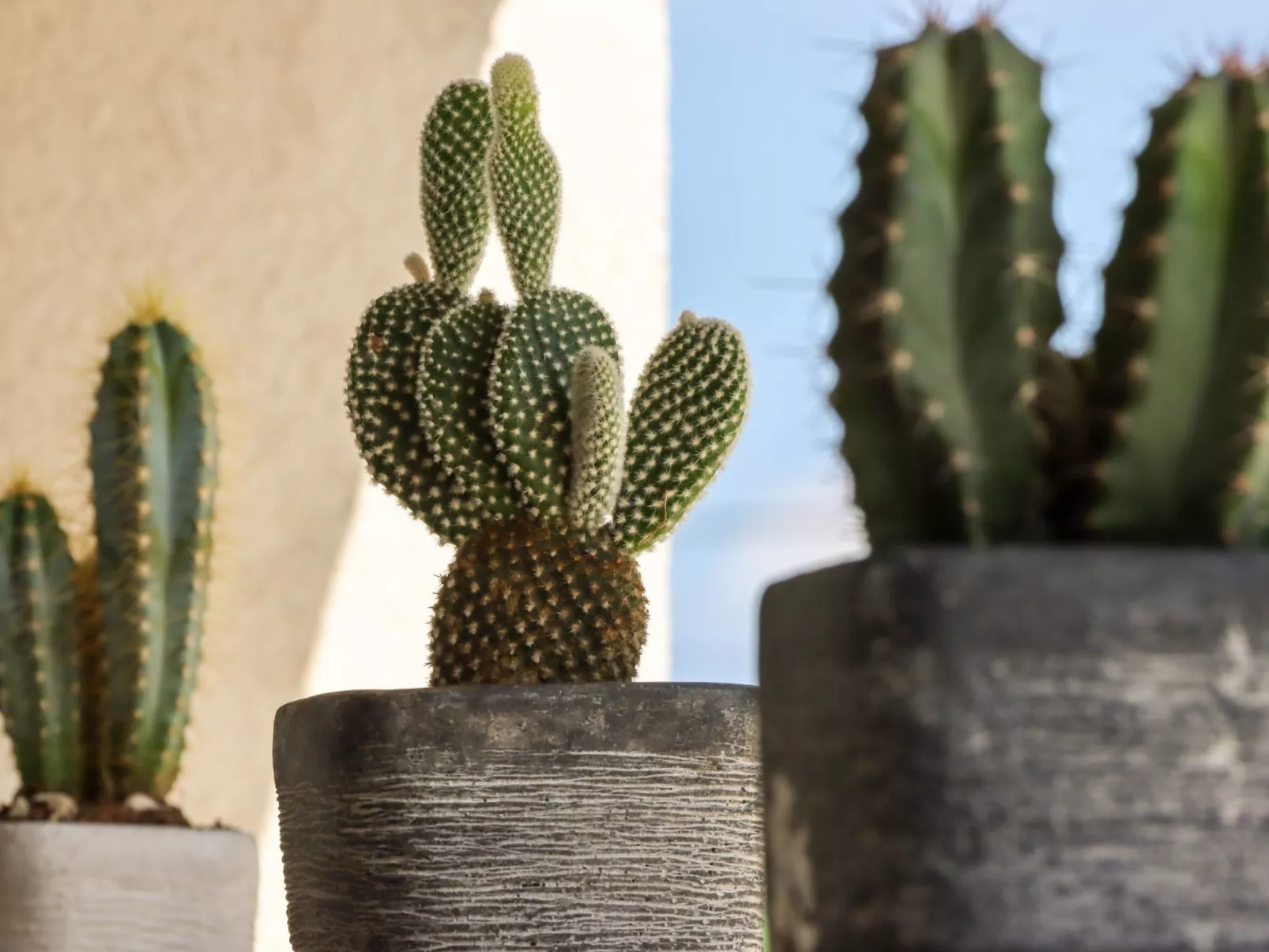 Villa Mi, Rukavac, Opatija Riviera-Binnen