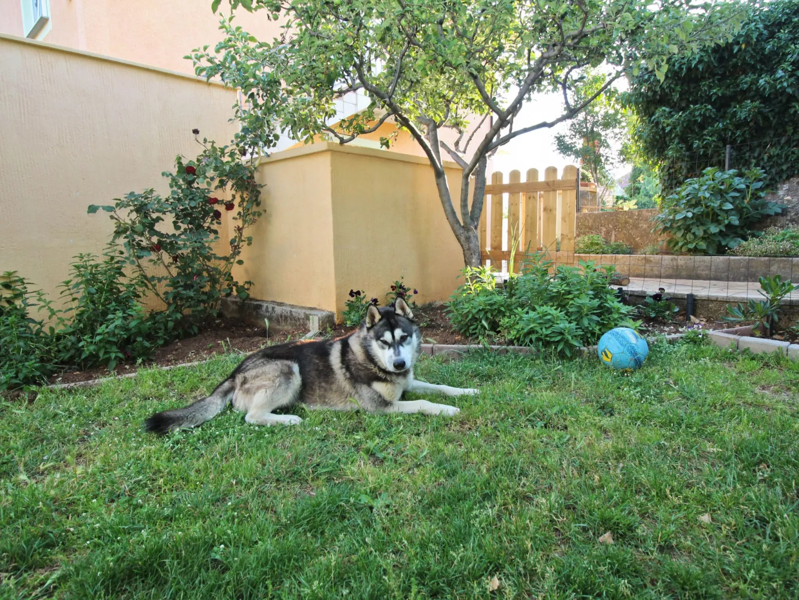 Apartment TOP 2-Buiten