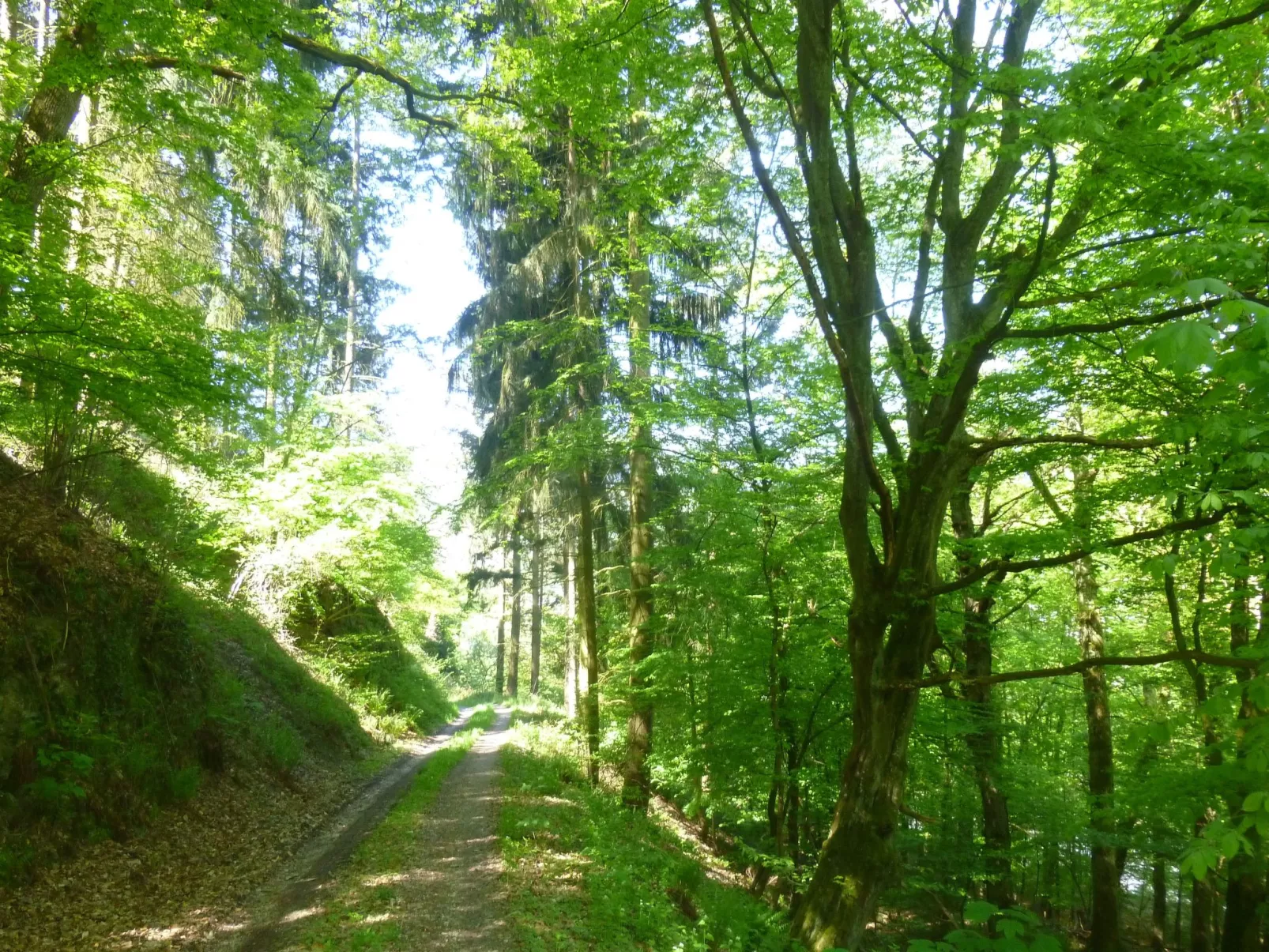 Moselschiefer-Traumferienwohnung am Moselufer-Buiten