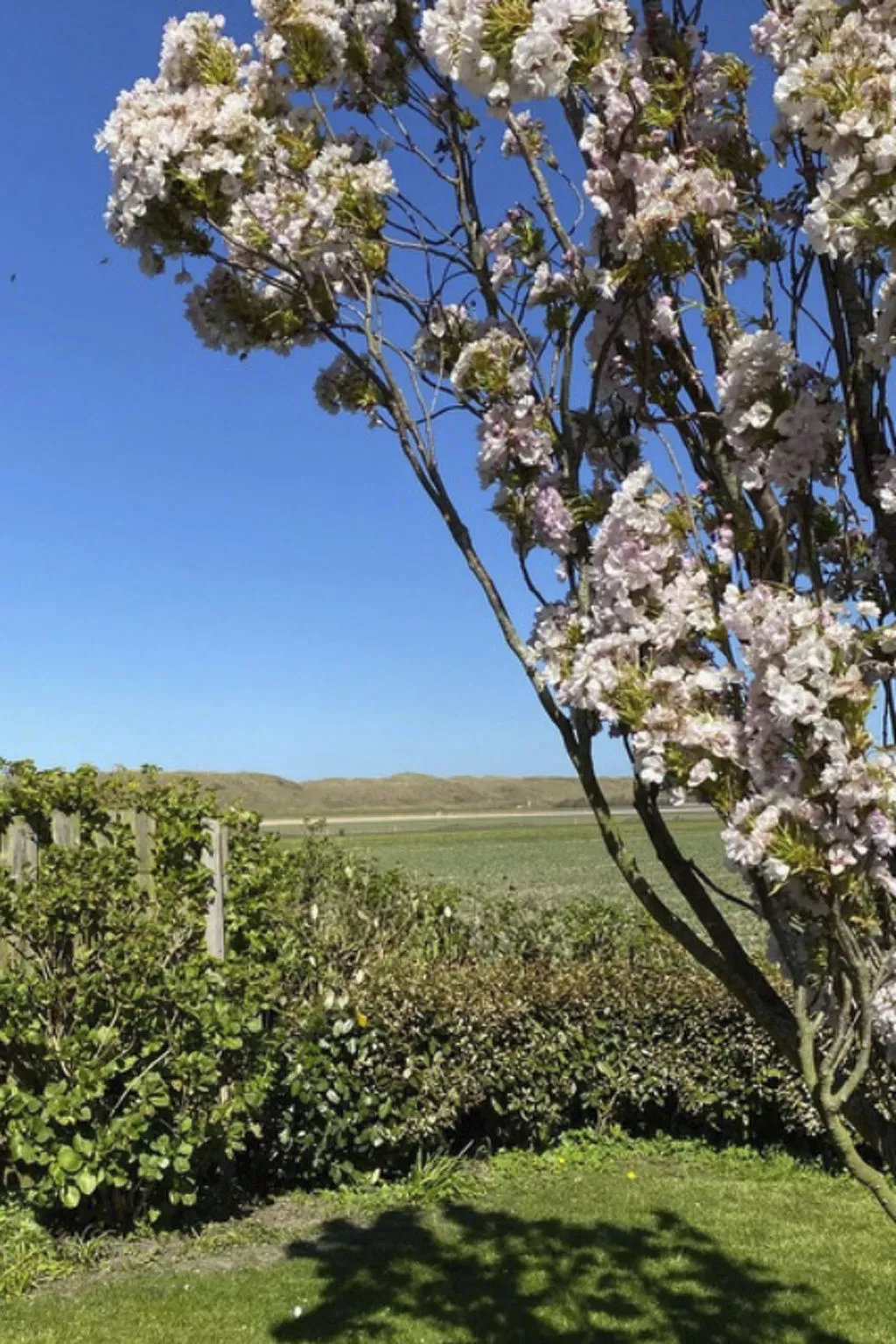 "Casa Juliana" mit privatem Garten-Buiten